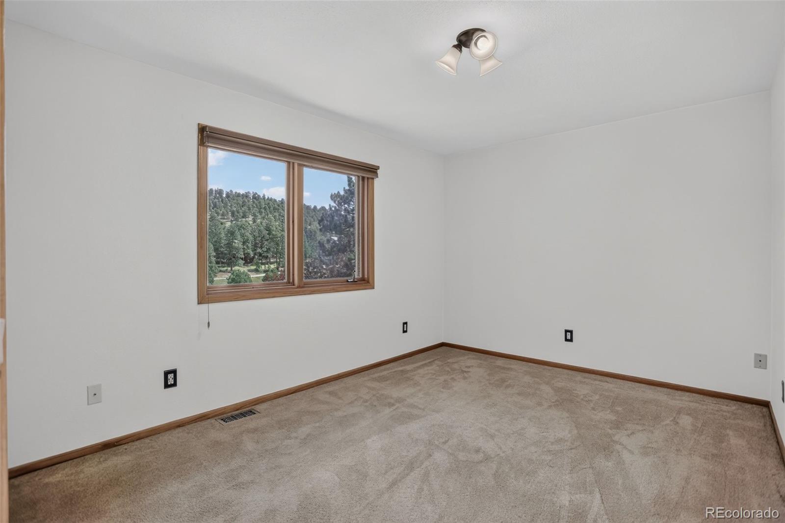 MLS Image #37 for 31667  broadmoor drive,evergreen, Colorado