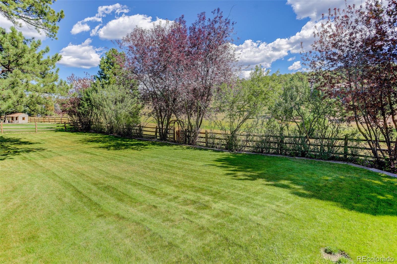 MLS Image #5 for 31667  broadmoor drive,evergreen, Colorado
