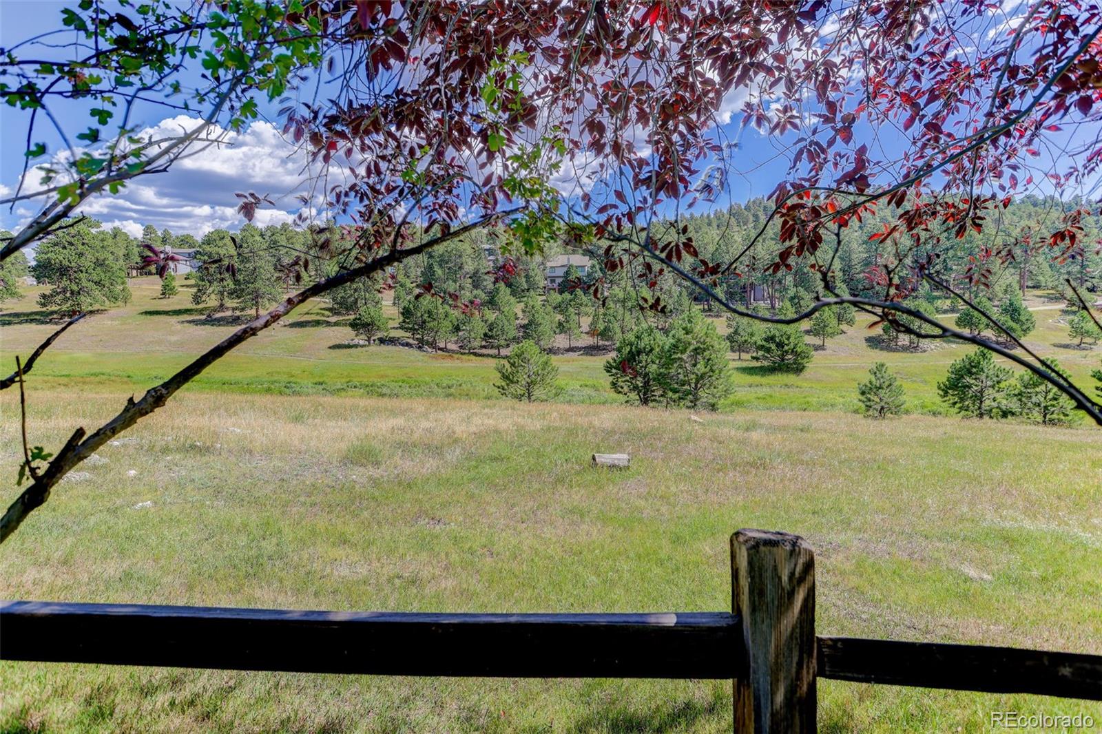 MLS Image #6 for 31667  broadmoor drive,evergreen, Colorado