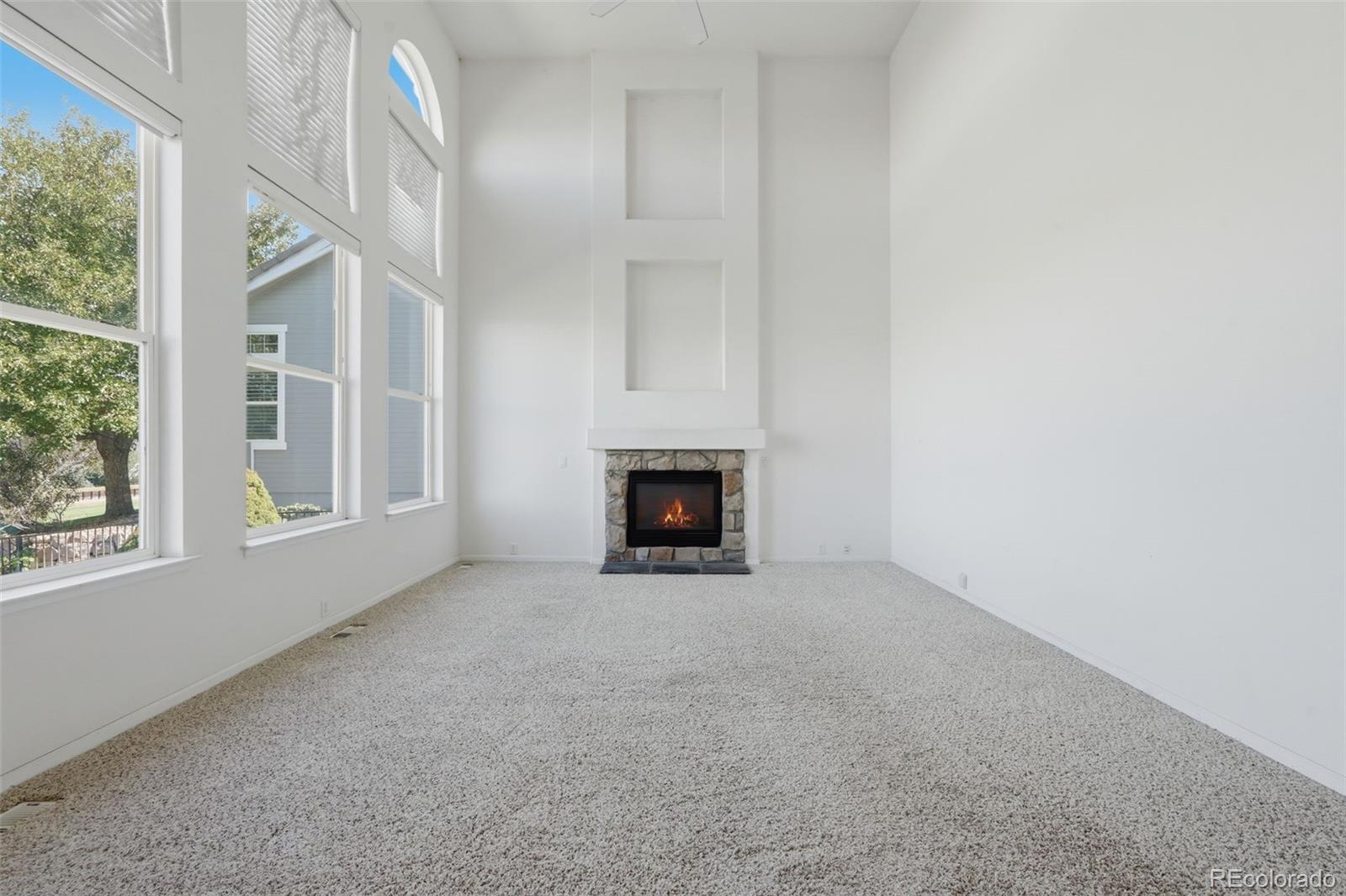 MLS Image #20 for 1395  peninsula circle,castle rock, Colorado