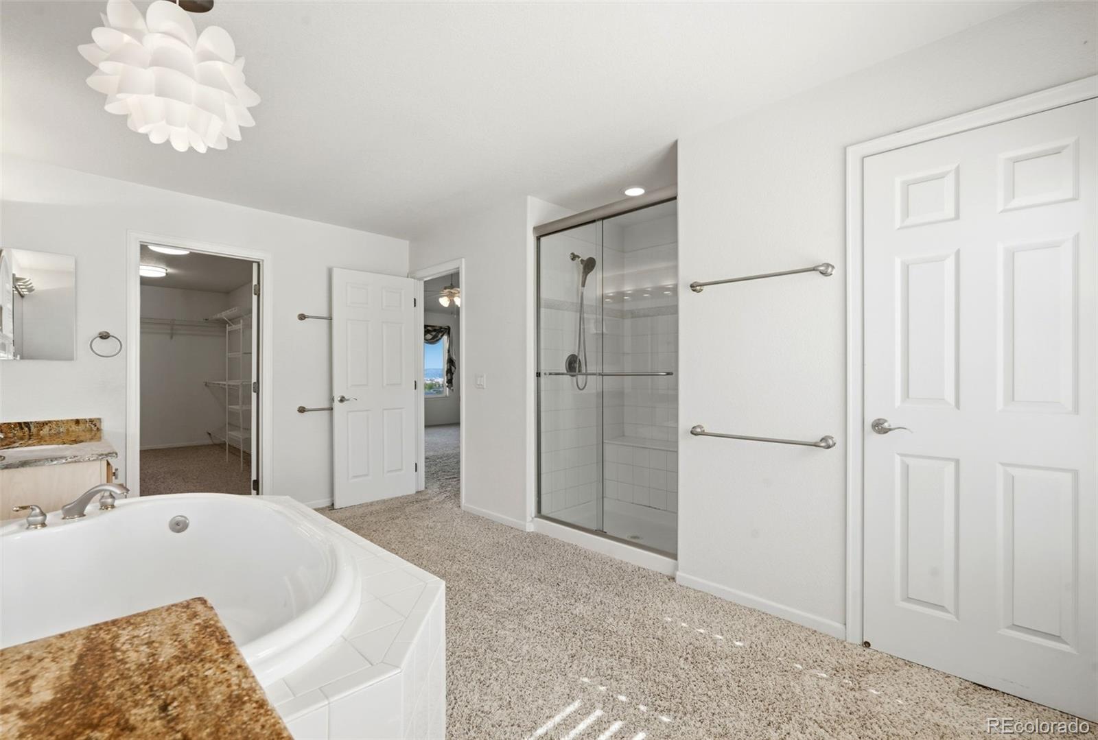 MLS Image #31 for 1395  peninsula circle,castle rock, Colorado