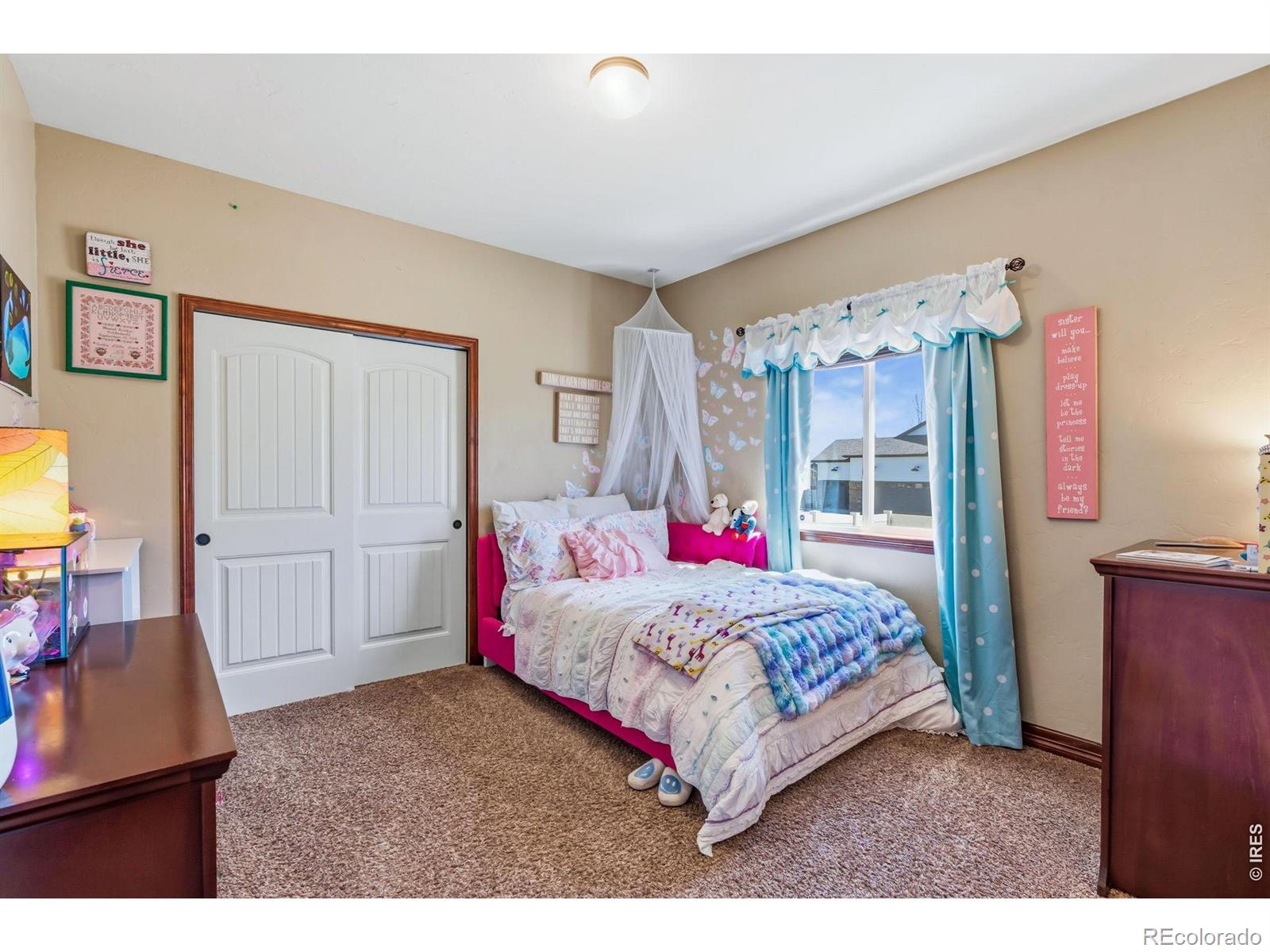 MLS Image #17 for 7419  ladbroke drive,windsor, Colorado