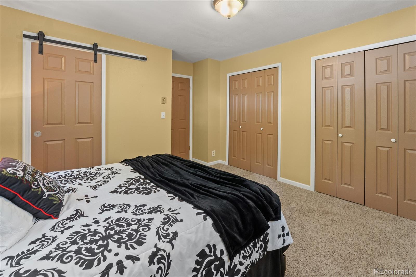 MLS Image #10 for 218  brook drive,idaho springs, Colorado
