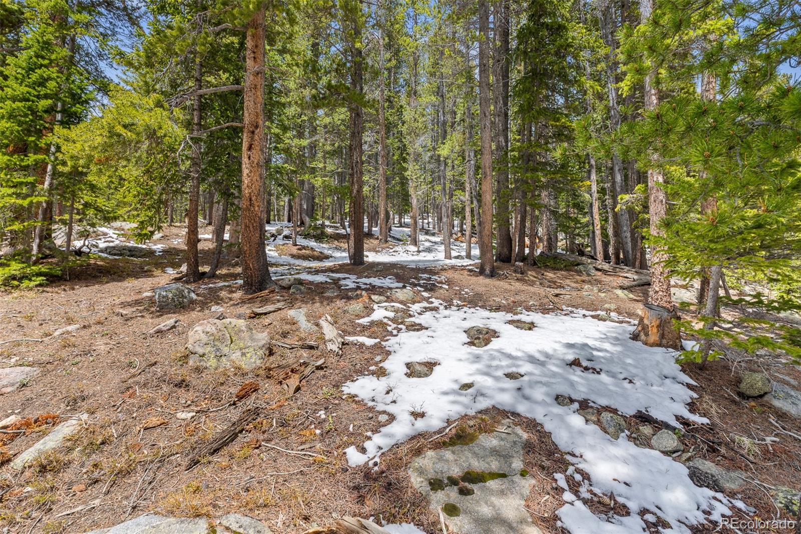 MLS Image #15 for 218  brook drive,idaho springs, Colorado