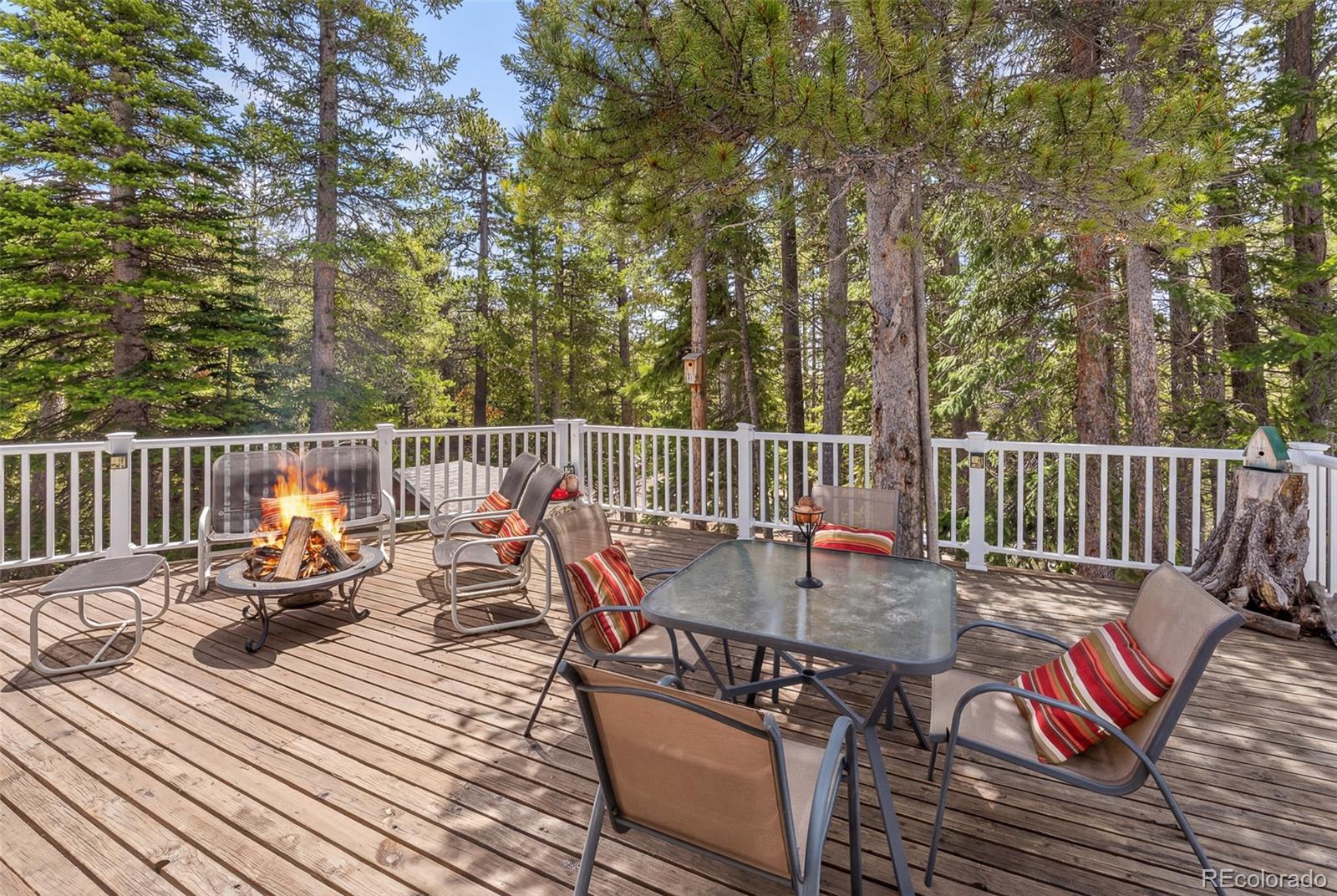 MLS Image #2 for 218  brook drive,idaho springs, Colorado