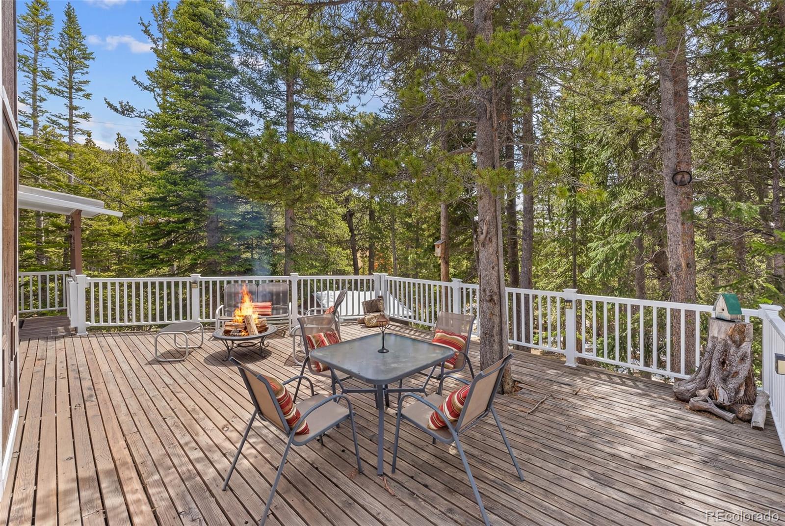 MLS Image #24 for 218  brook drive,idaho springs, Colorado