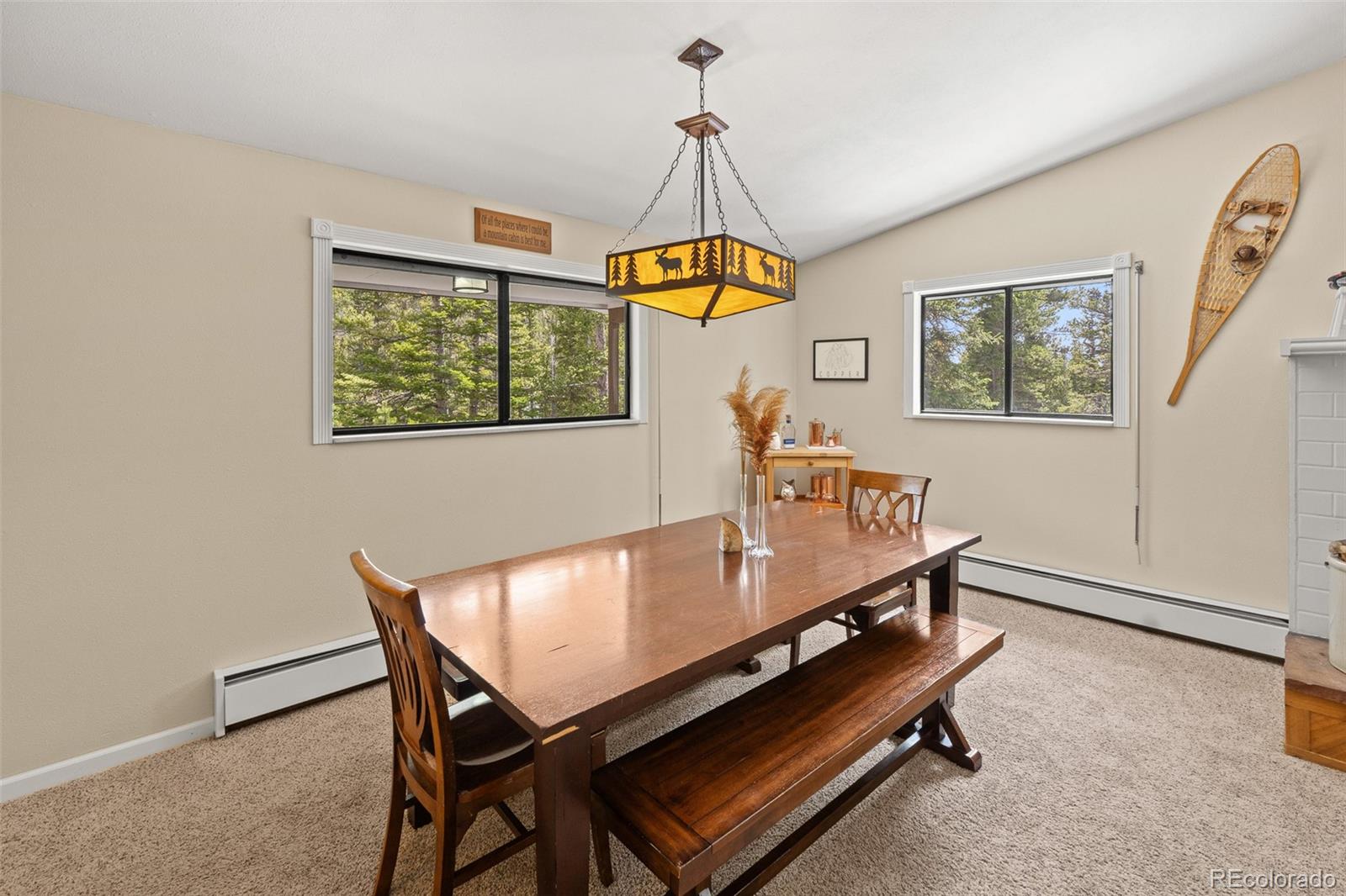 MLS Image #27 for 218  brook drive,idaho springs, Colorado