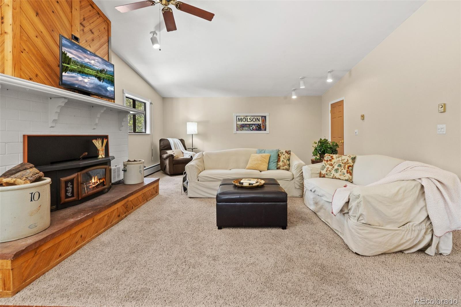 MLS Image #32 for 218  brook drive,idaho springs, Colorado