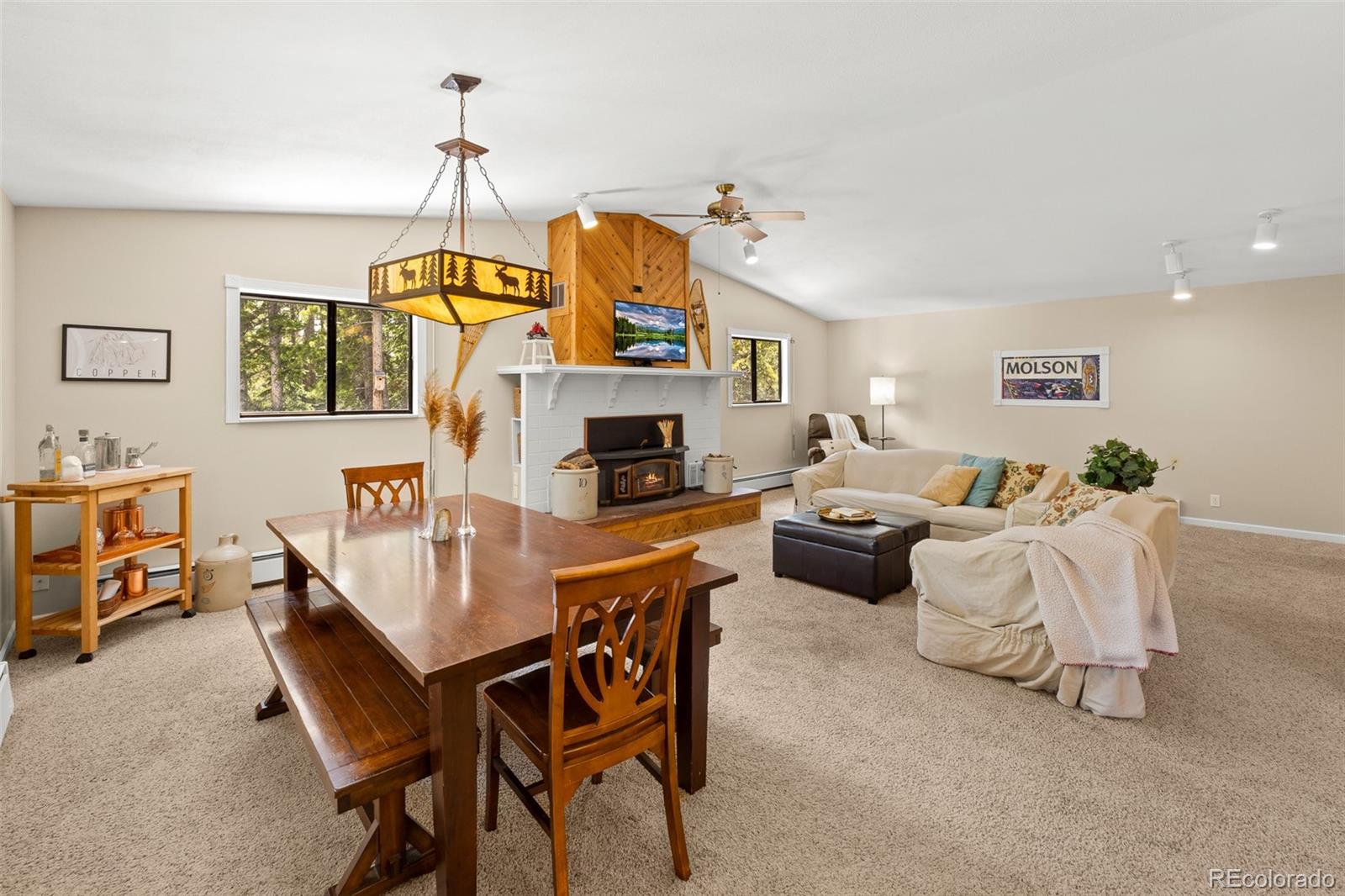 MLS Image #7 for 218  brook drive,idaho springs, Colorado