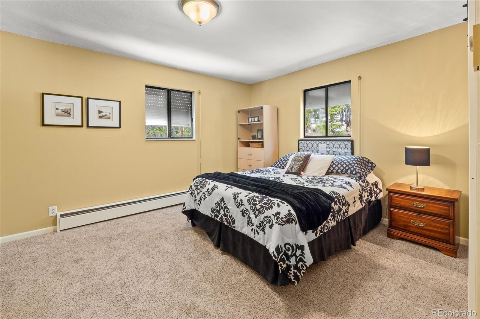 MLS Image #8 for 218  brook drive,idaho springs, Colorado