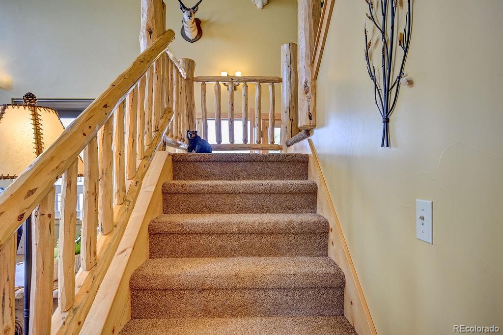 MLS Image #21 for 33705  mt harvard circle,buena vista, Colorado