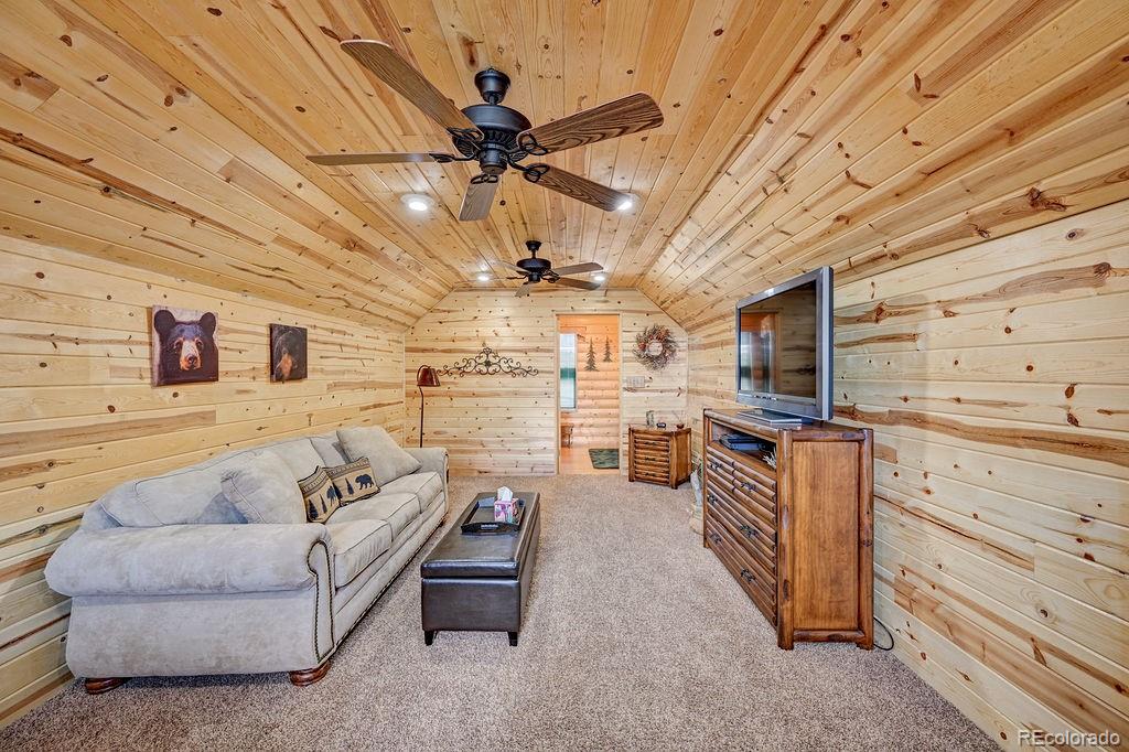 MLS Image #32 for 33705  mt harvard circle,buena vista, Colorado