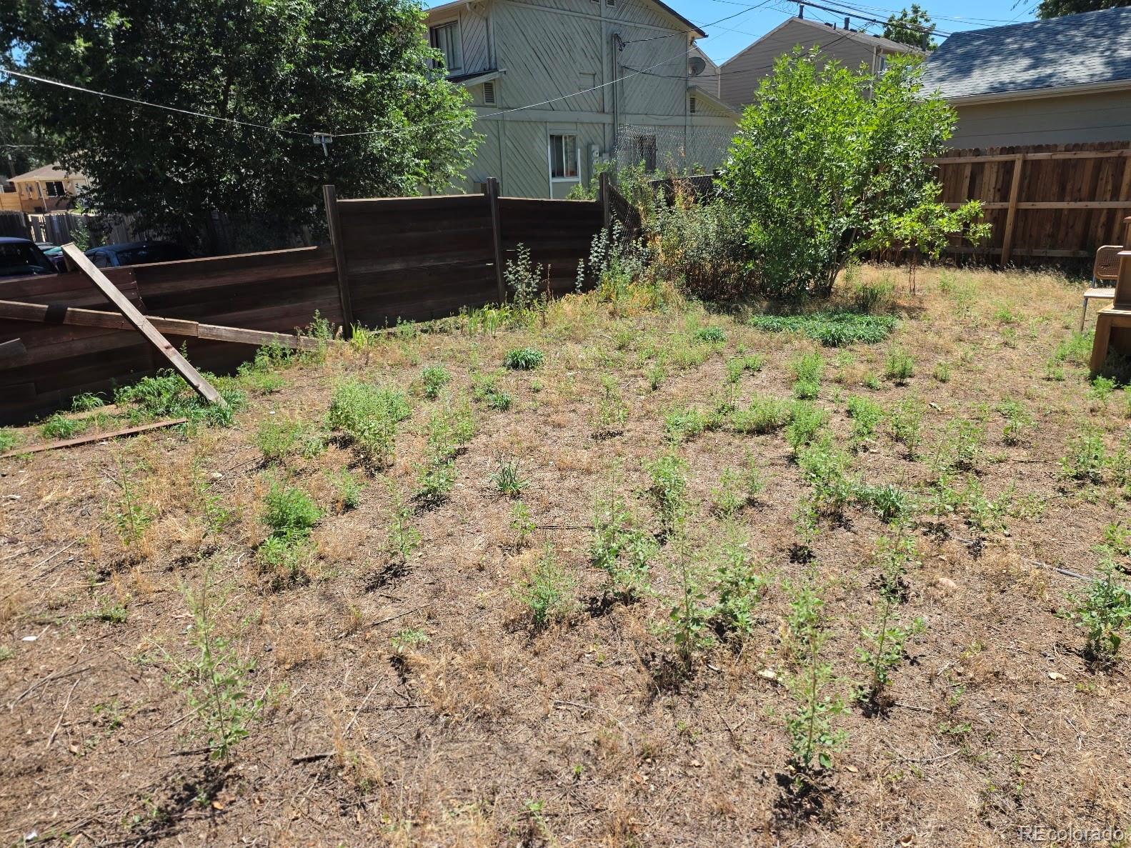 MLS Image #6 for 1150  roslyn street,denver, Colorado