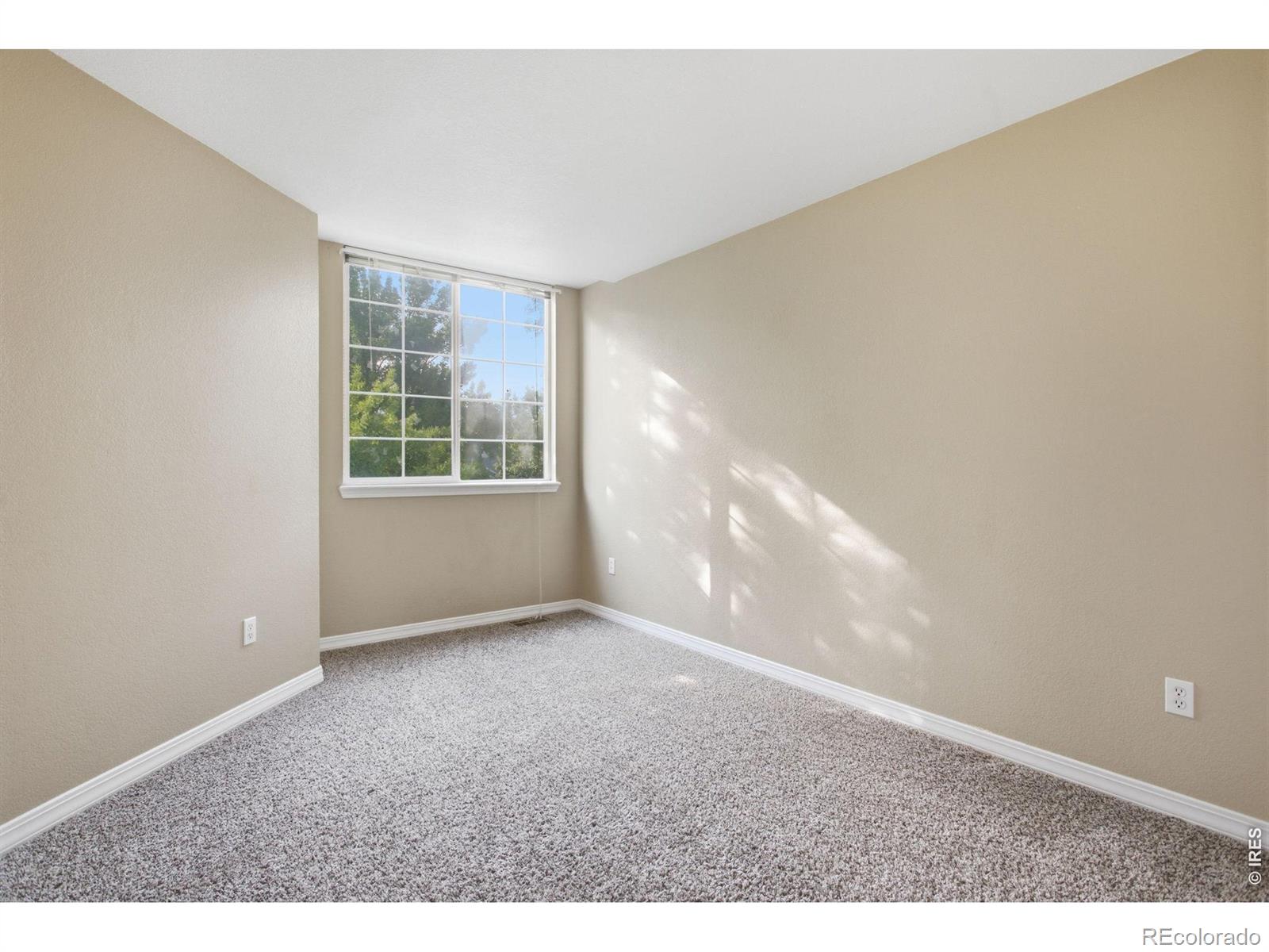 MLS Image #23 for 4500  seneca street,fort collins, Colorado
