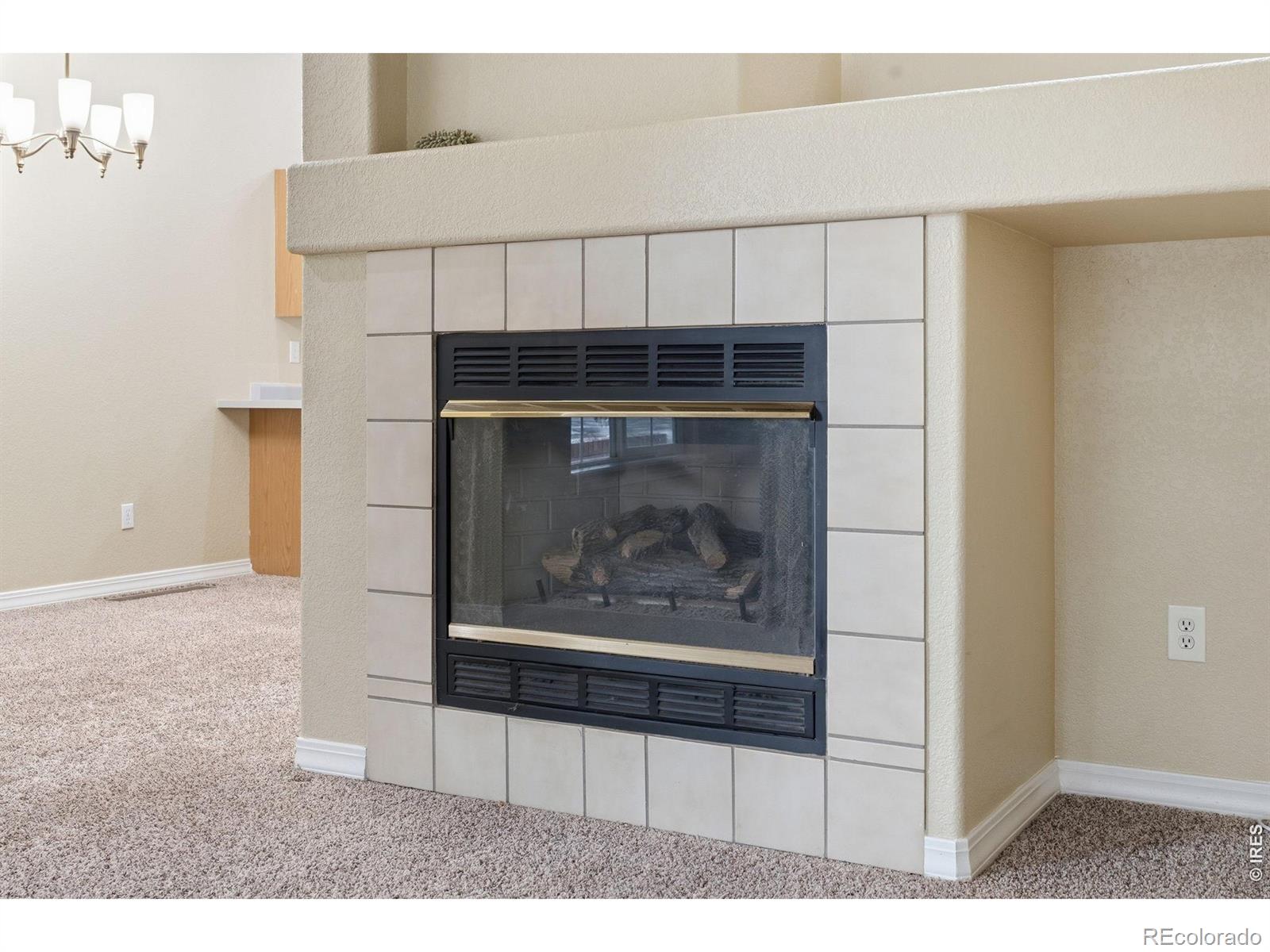 MLS Image #8 for 4500  seneca street,fort collins, Colorado