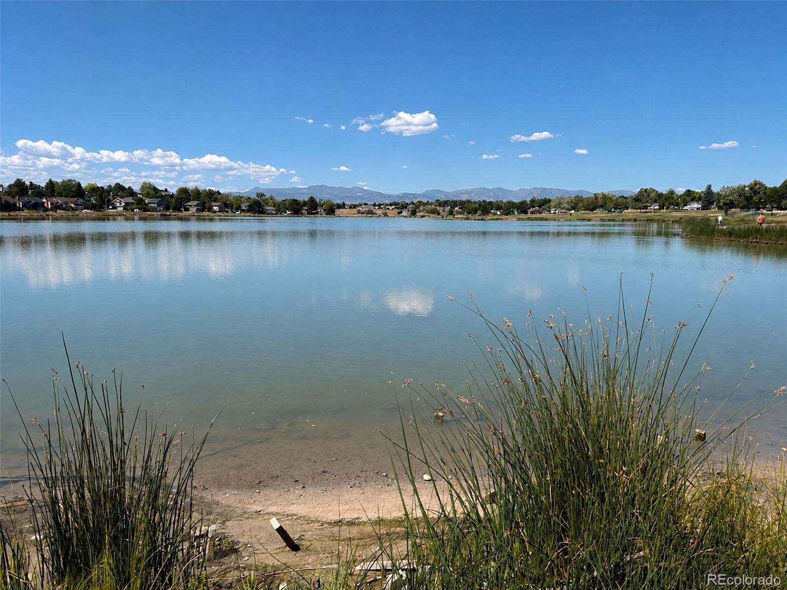 MLS Image #34 for 8775  lamar drive,arvada, Colorado