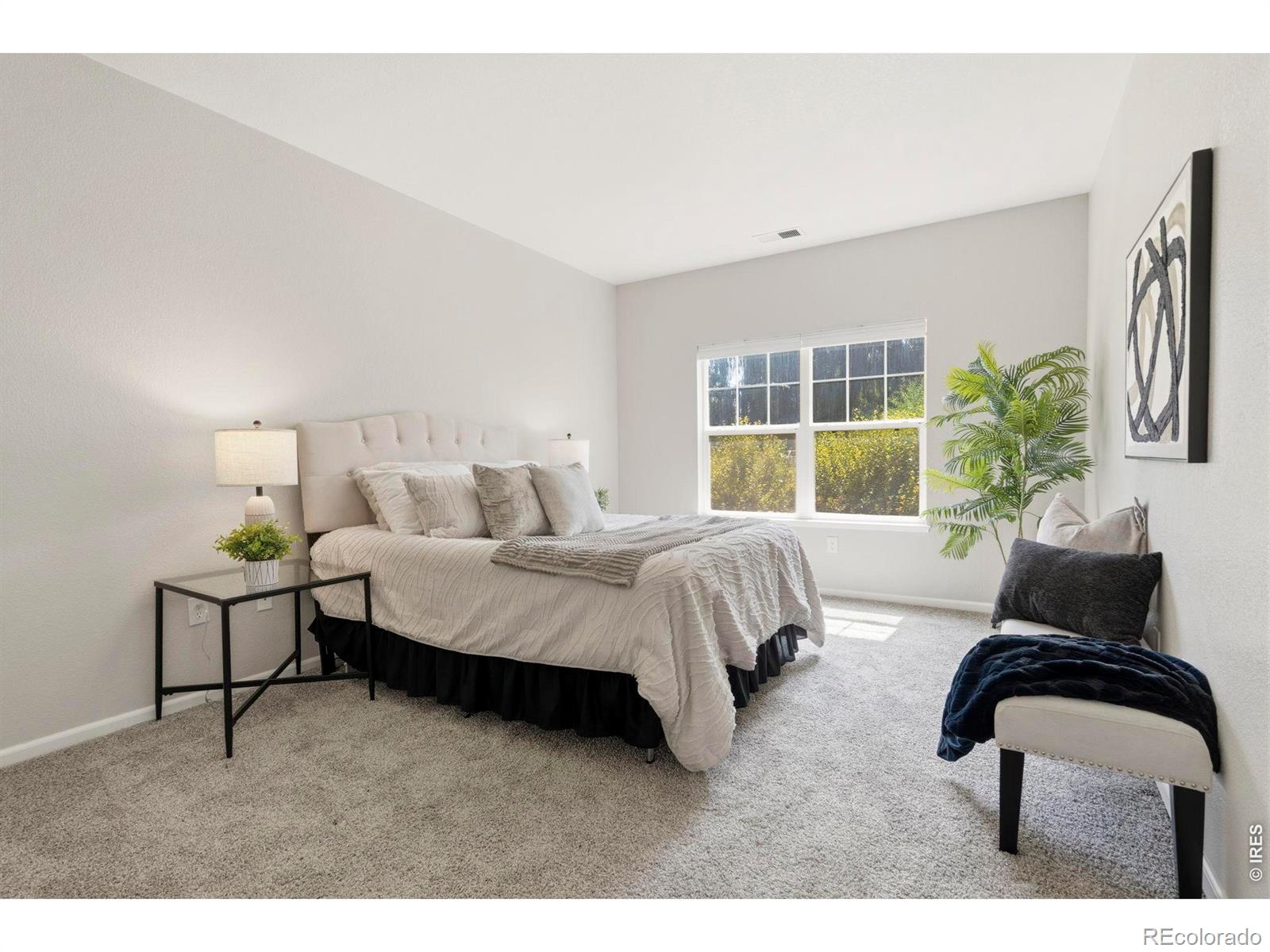MLS Image #15 for 5225  white willow drive,fort collins, Colorado