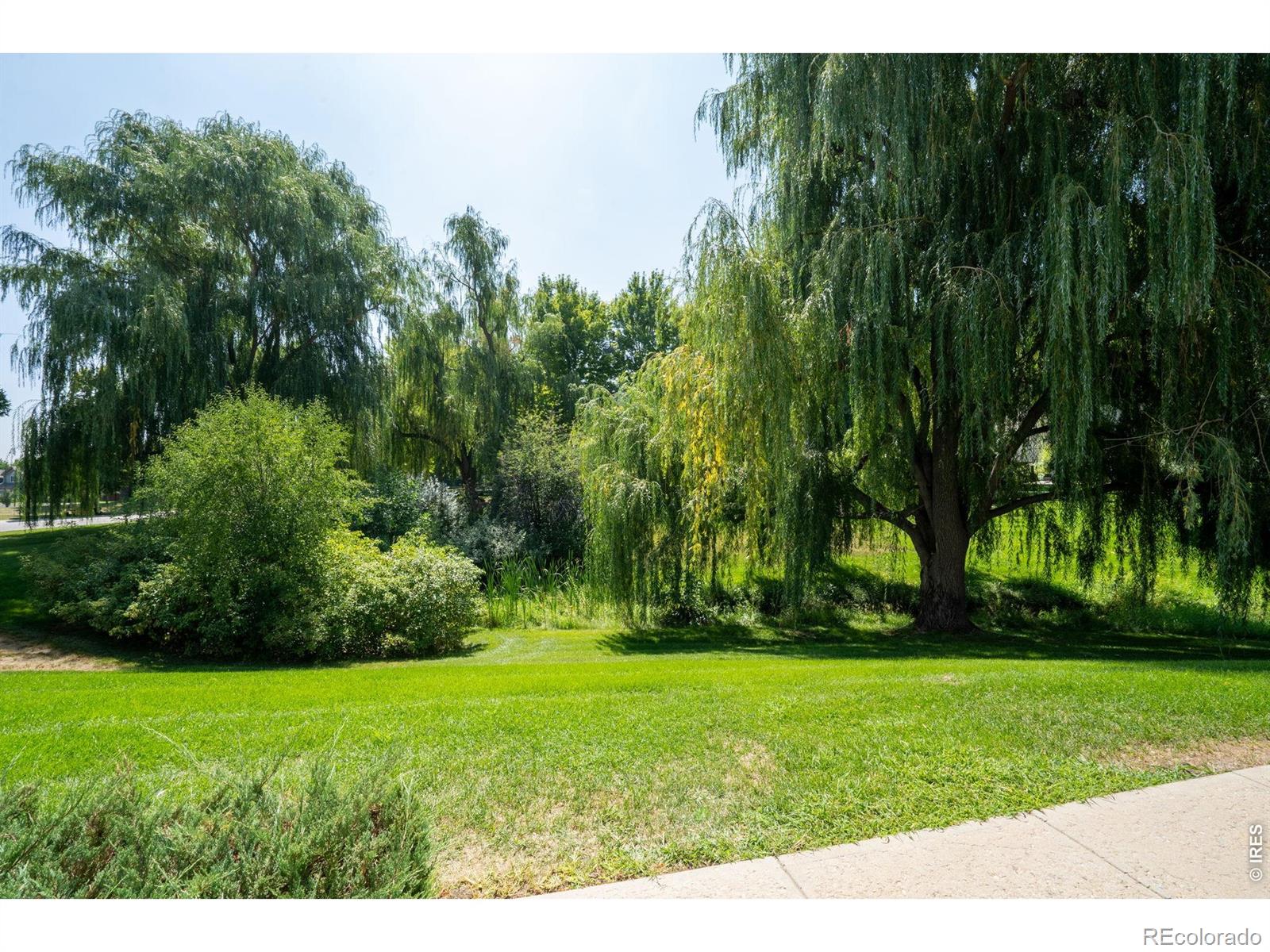 MLS Image #27 for 5225  white willow drive,fort collins, Colorado