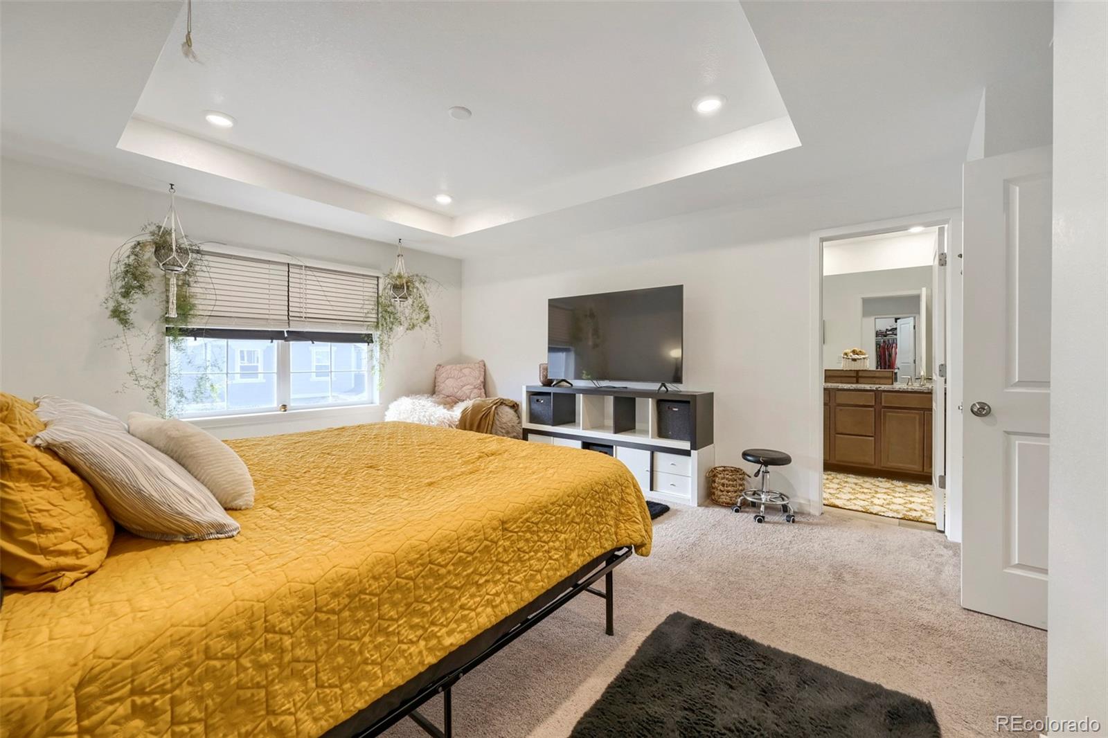 MLS Image #13 for 17450 e 95th place,commerce city, Colorado