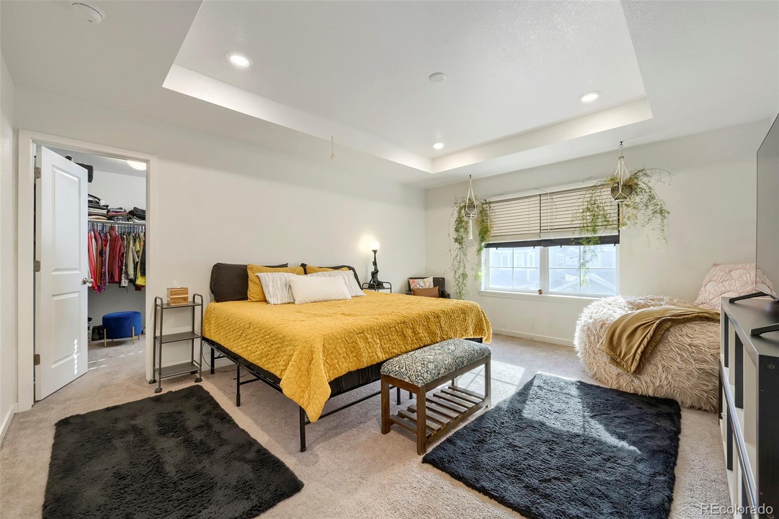 MLS Image #14 for 17450 e 95th place,commerce city, Colorado