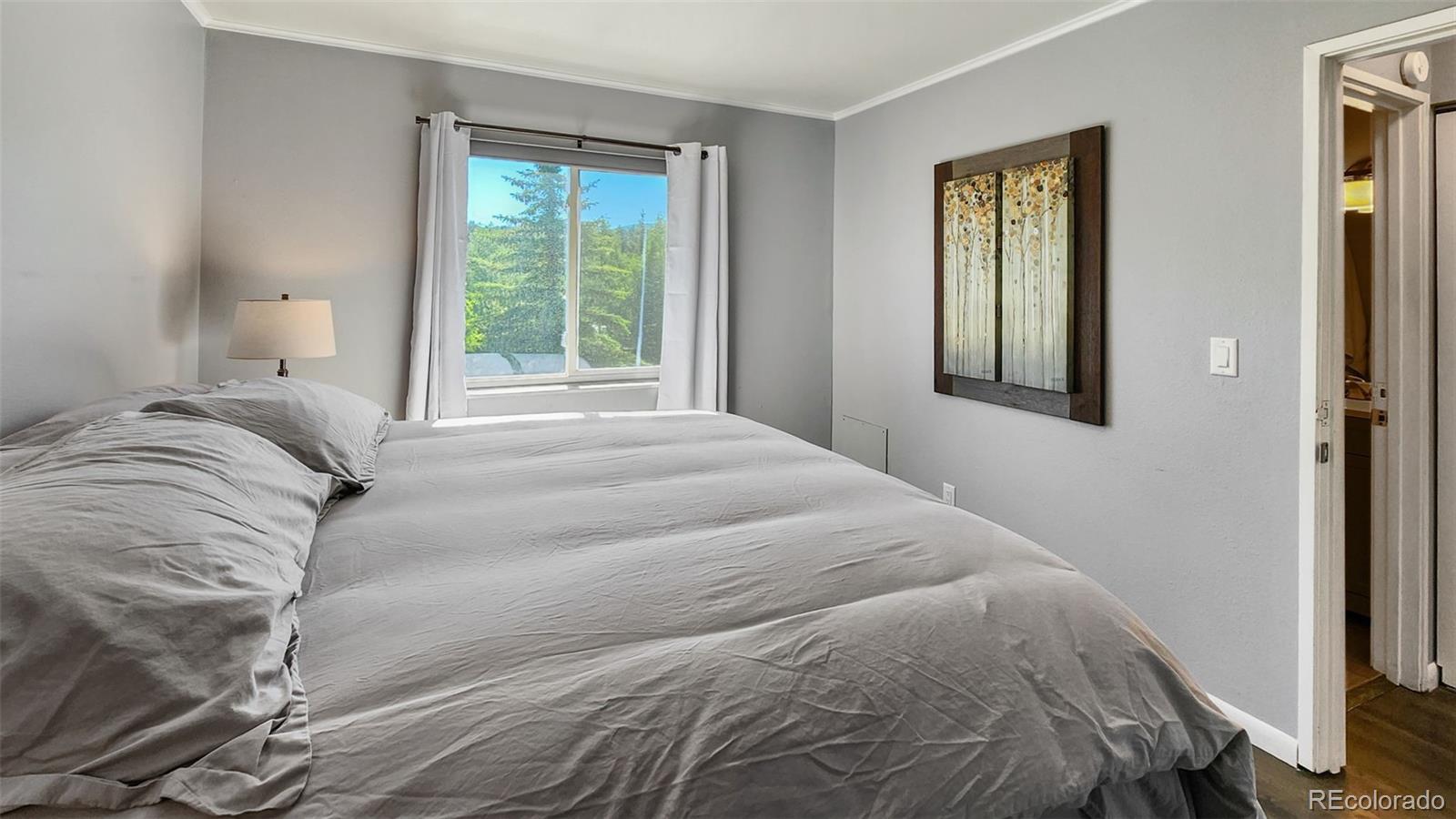 MLS Image #15 for 301 n french street,breckenridge, Colorado