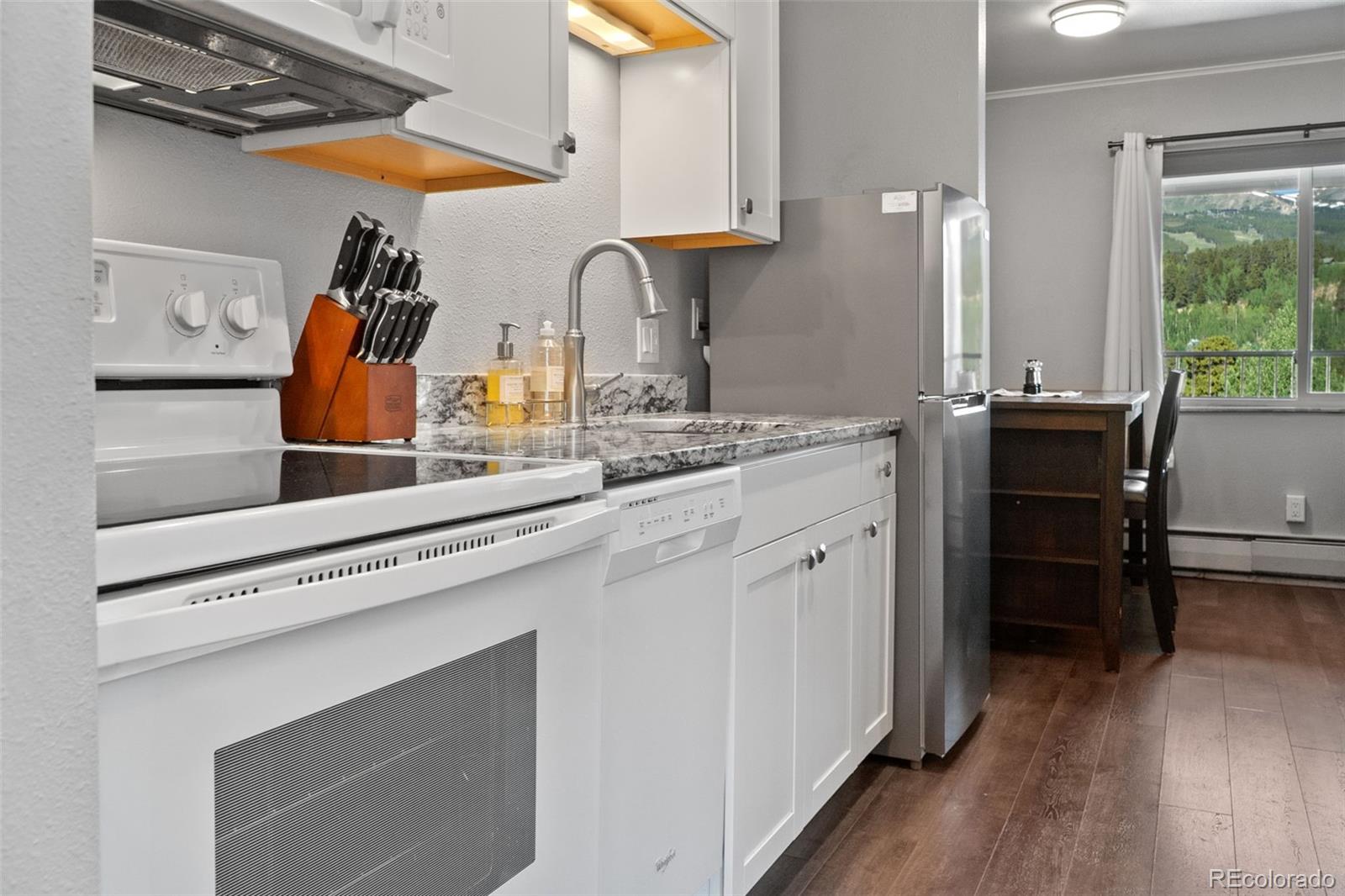 MLS Image #21 for 301 n french street,breckenridge, Colorado