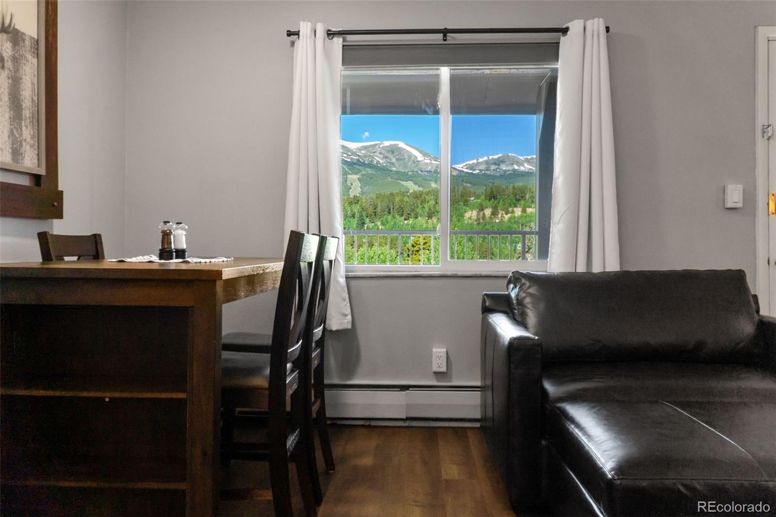 MLS Image #4 for 301 n french street,breckenridge, Colorado