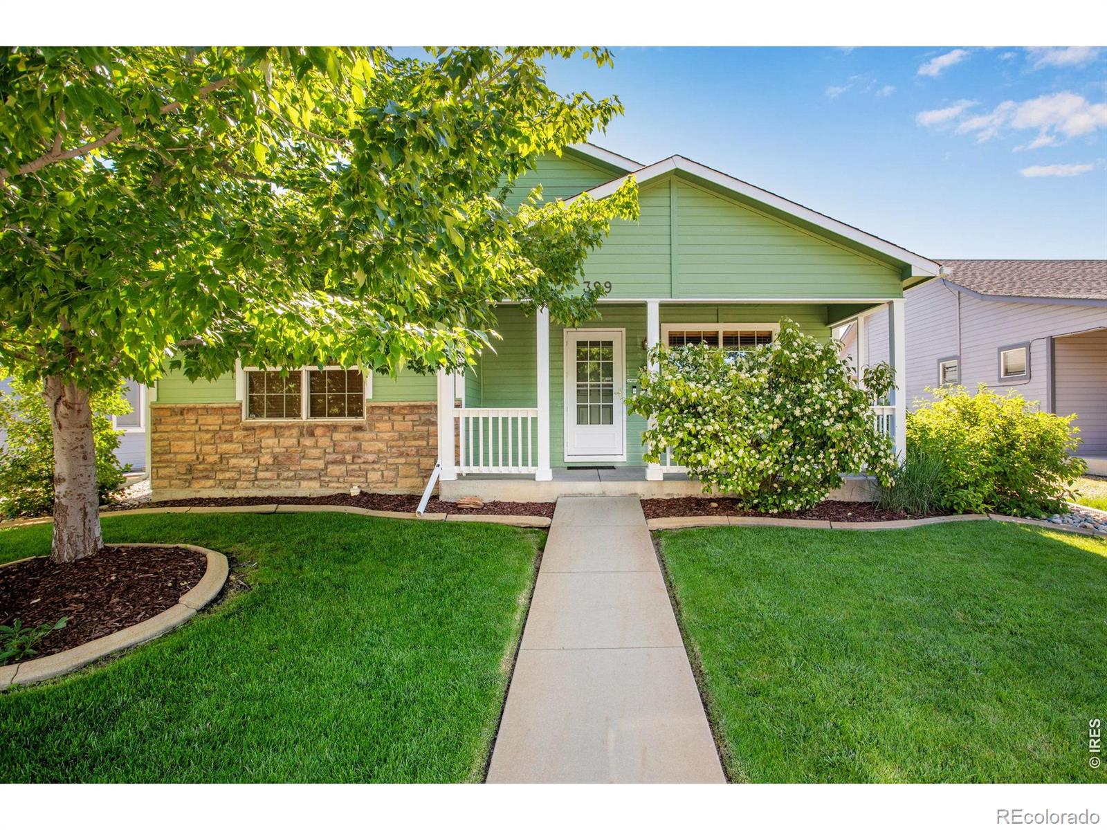 MLS Image #1 for 399  lark bunting avenue,loveland, Colorado