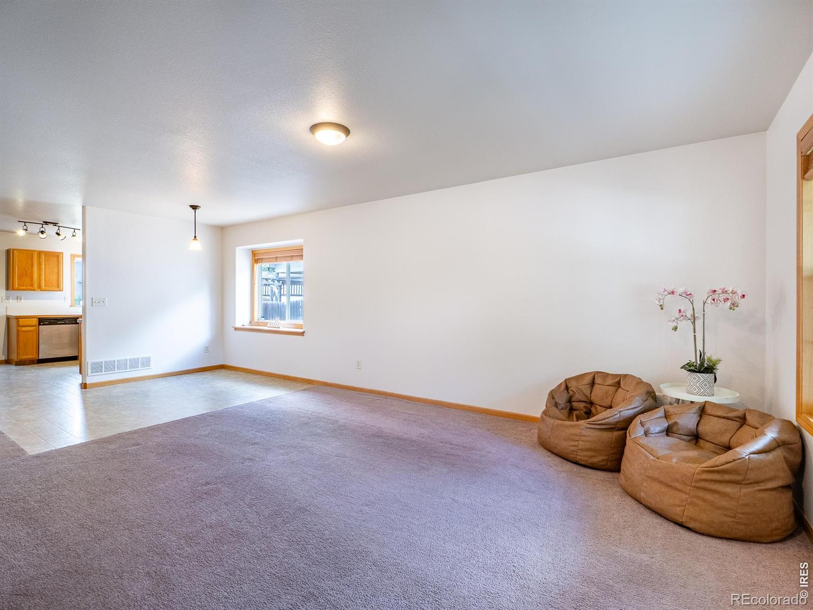 MLS Image #8 for 399  lark bunting avenue,loveland, Colorado