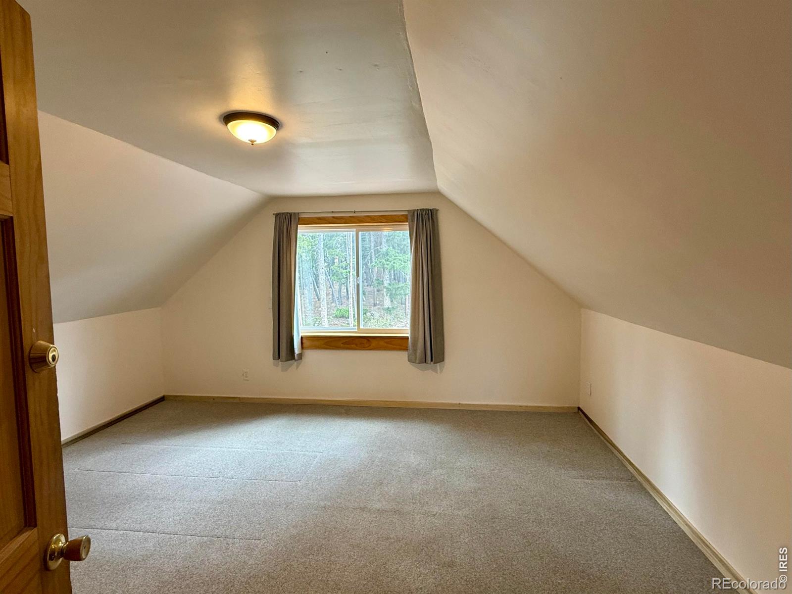 MLS Image #12 for 393  pine cone drive,ward, Colorado