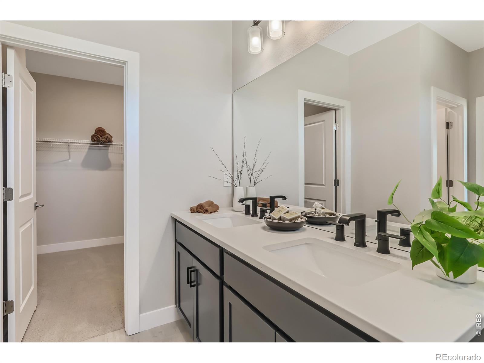 MLS Image #14 for 7332  swan river street,frederick, Colorado