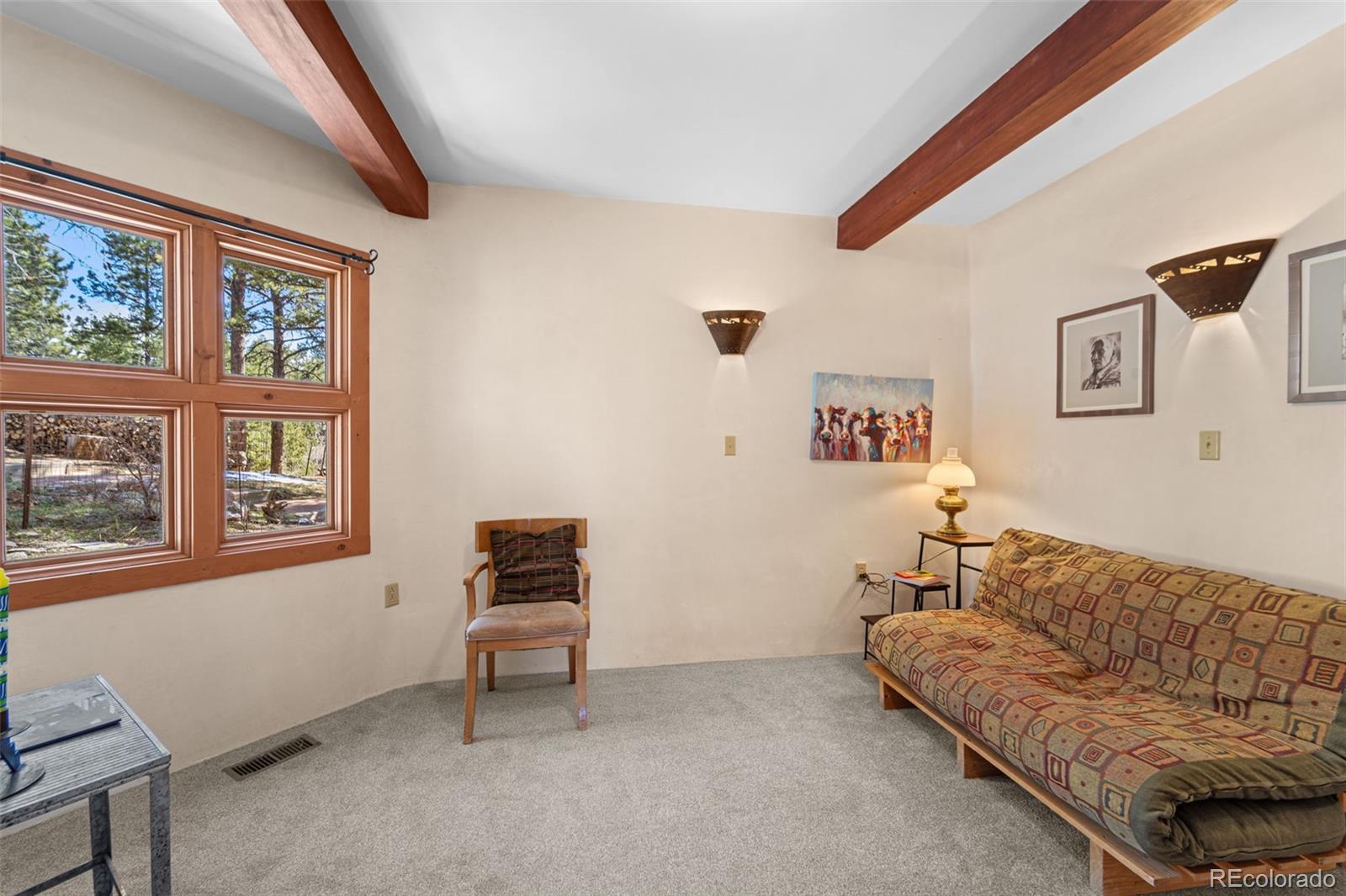 MLS Image #15 for 174  needle creek road,divide, Colorado
