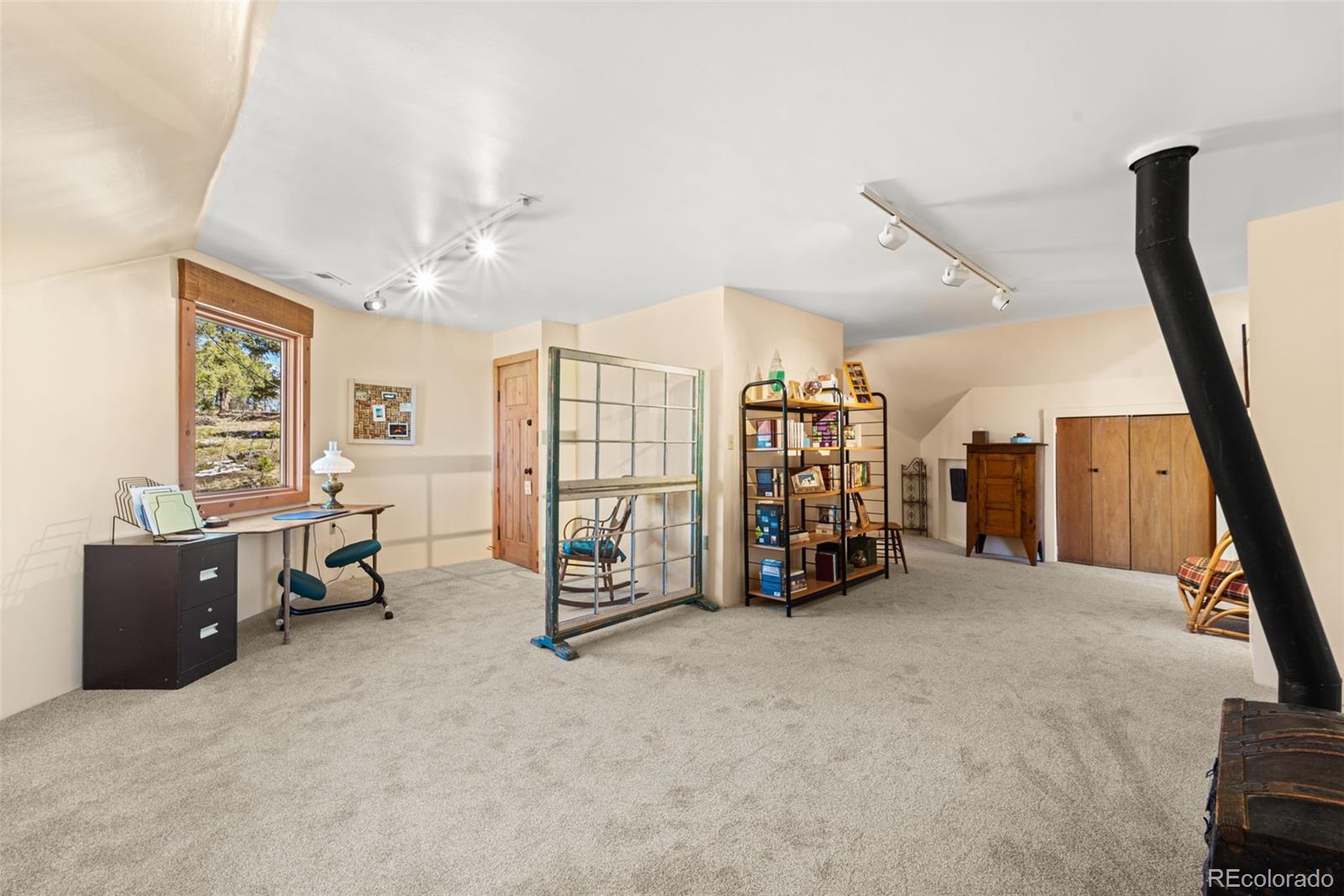MLS Image #20 for 174  needle creek road,divide, Colorado