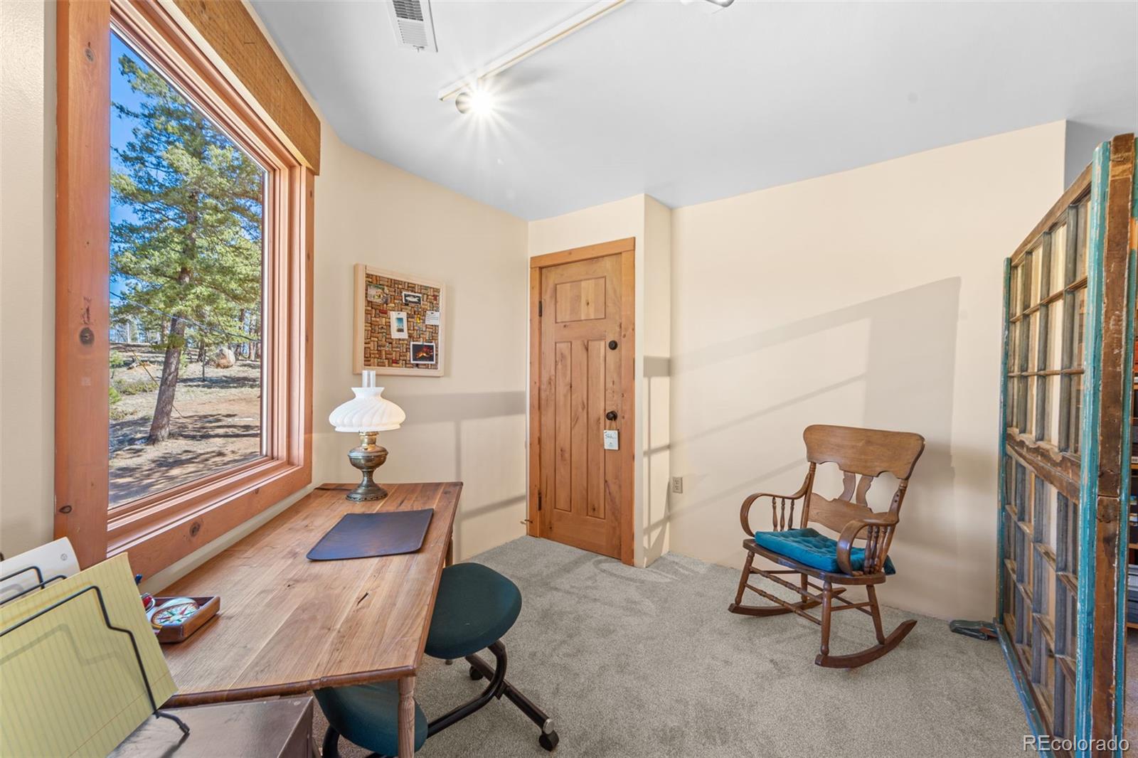 MLS Image #21 for 174  needle creek road,divide, Colorado