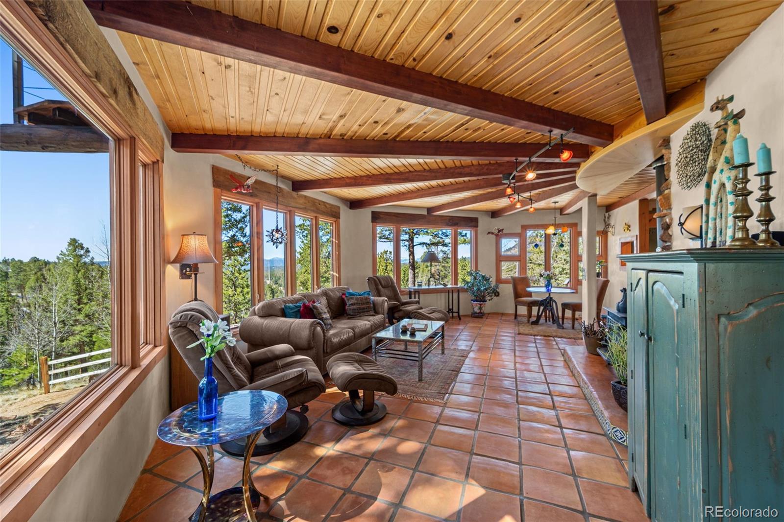 MLS Image #8 for 174  needle creek road,divide, Colorado