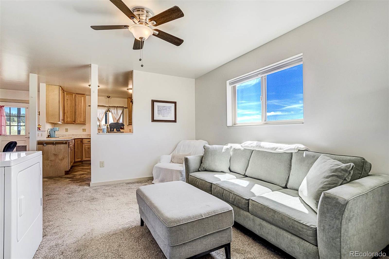 MLS Image #10 for 4510  county road 71 ,guffey, Colorado