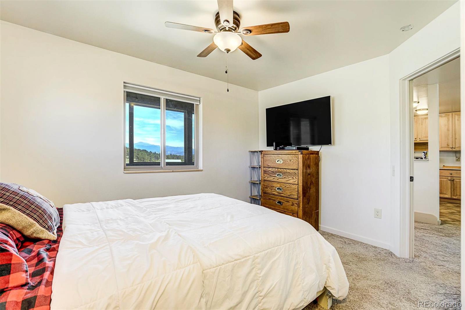 MLS Image #16 for 4510  county road 71 ,guffey, Colorado