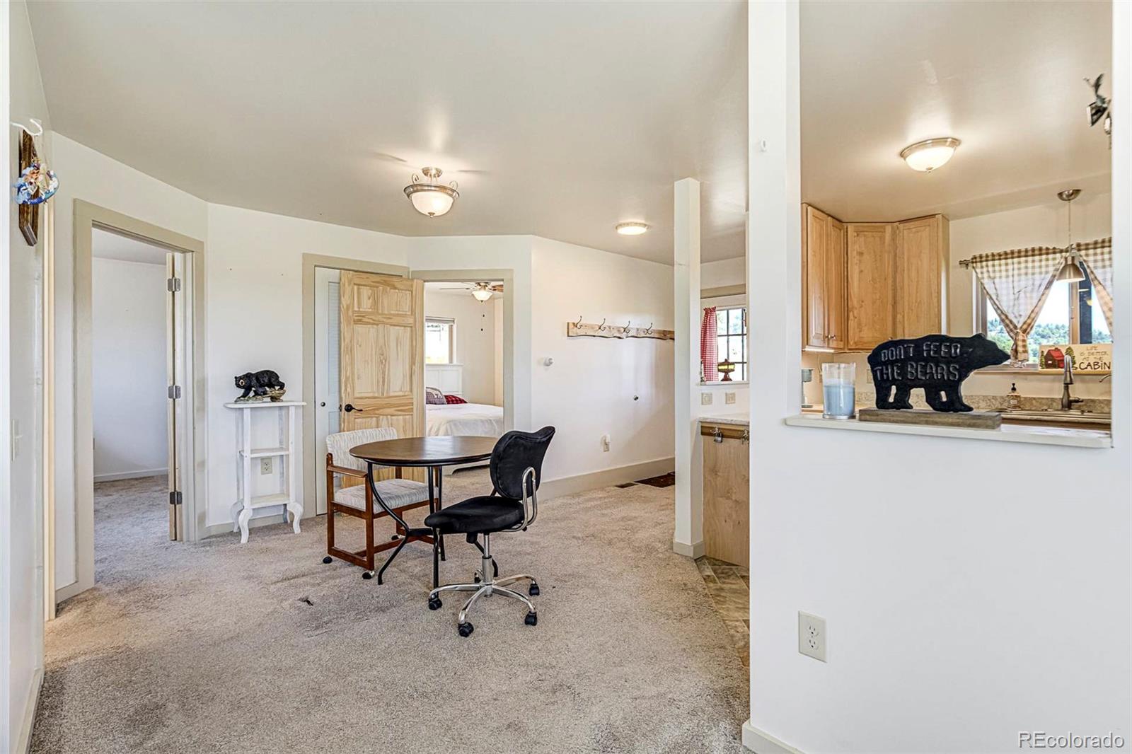MLS Image #21 for 4510  county road 71 ,guffey, Colorado