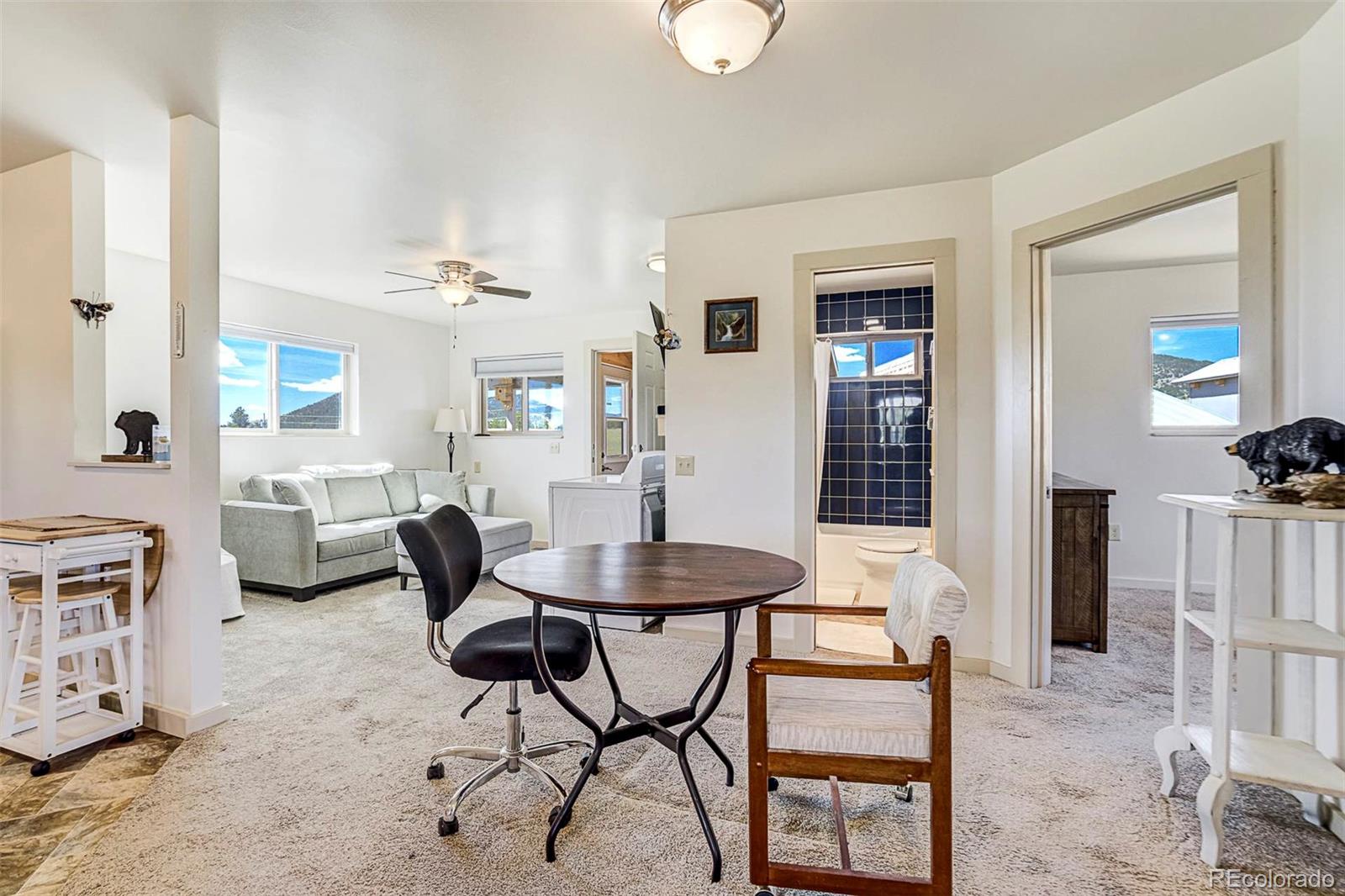 MLS Image #9 for 4510  county road 71 ,guffey, Colorado