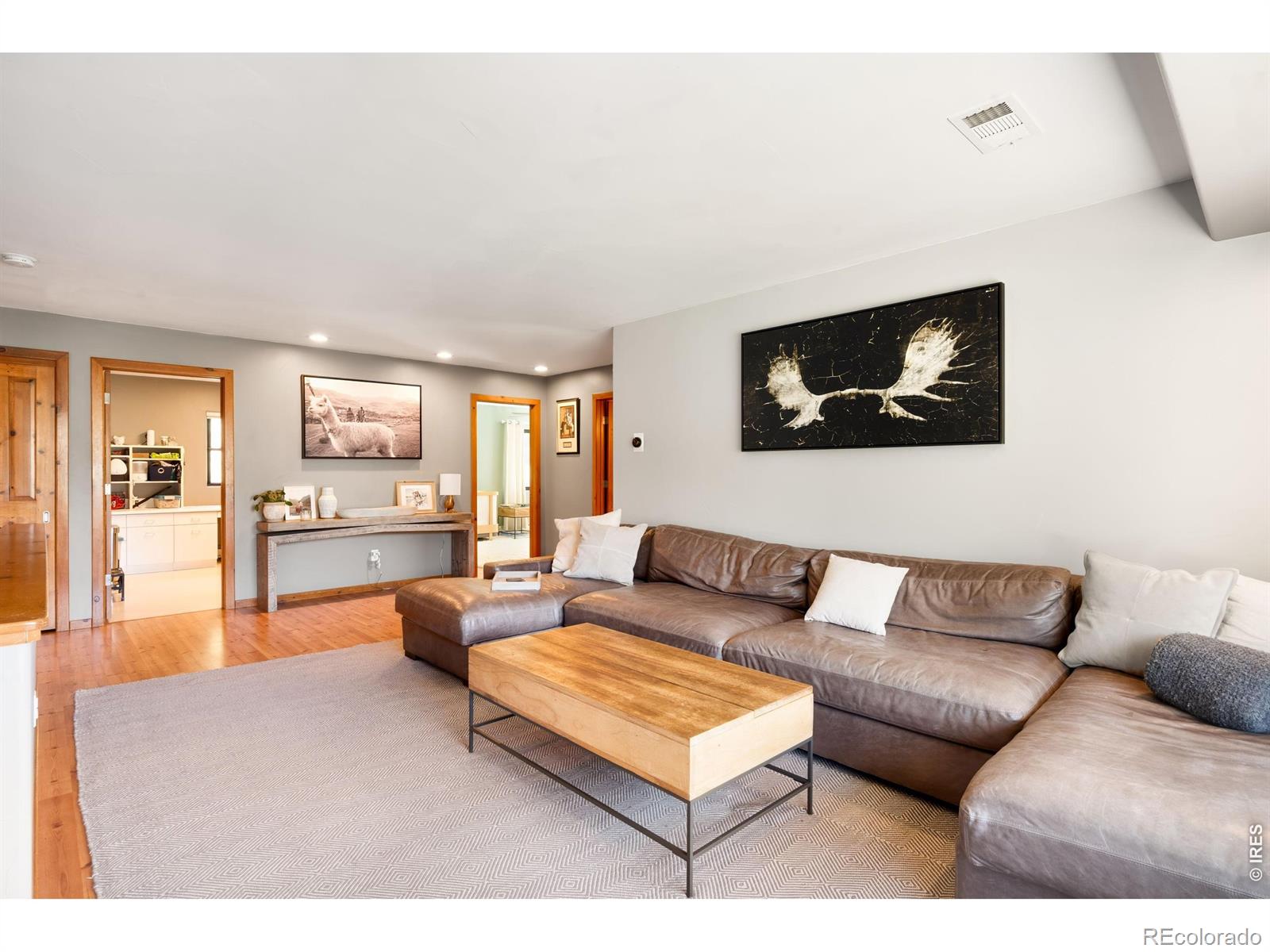 MLS Image #26 for 5858 s turkey creek road,morrison, Colorado