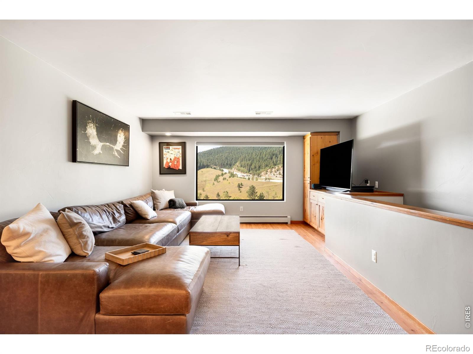 MLS Image #27 for 5858 s turkey creek road,morrison, Colorado