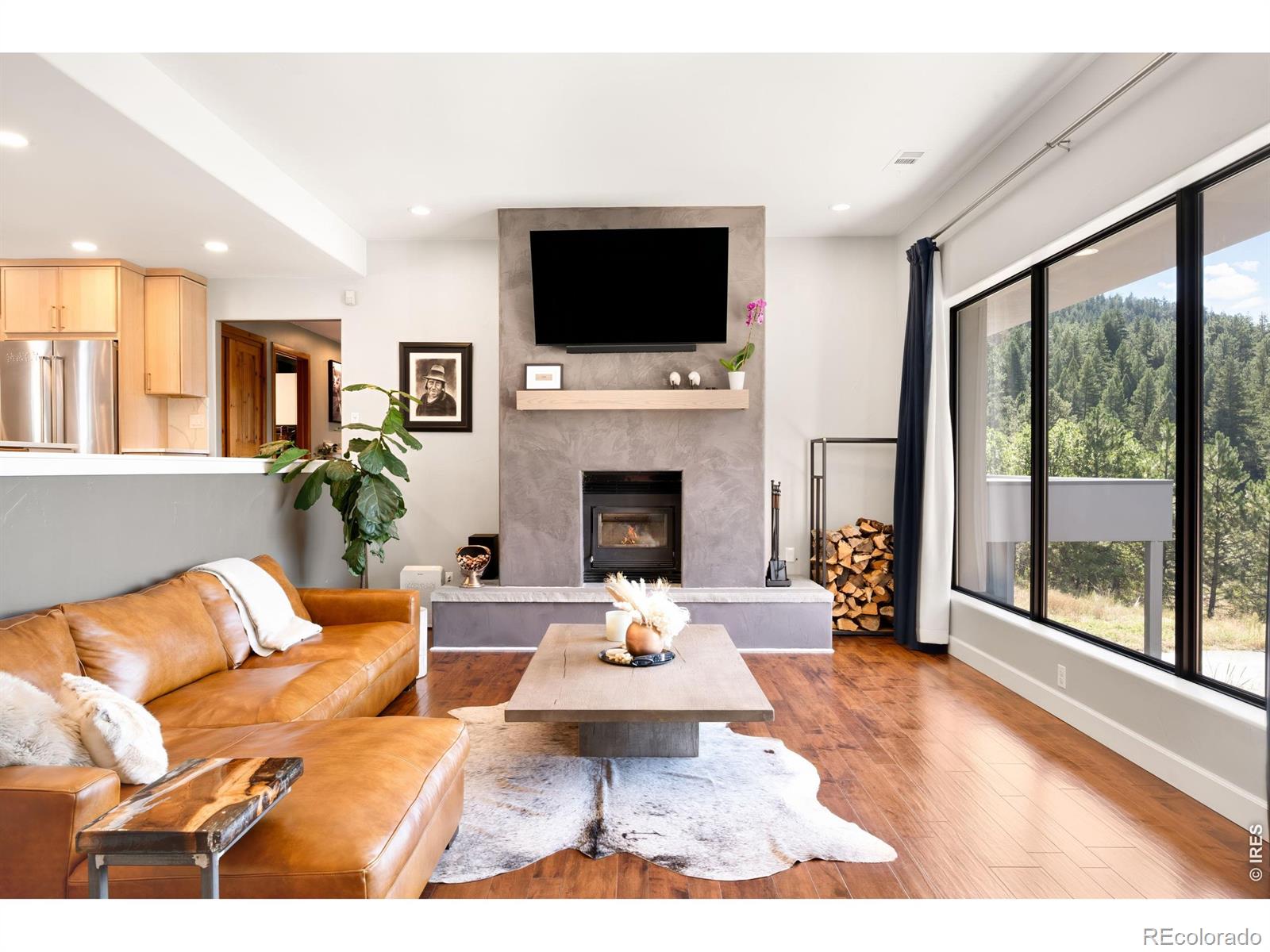 MLS Image #4 for 5858 s turkey creek road,morrison, Colorado