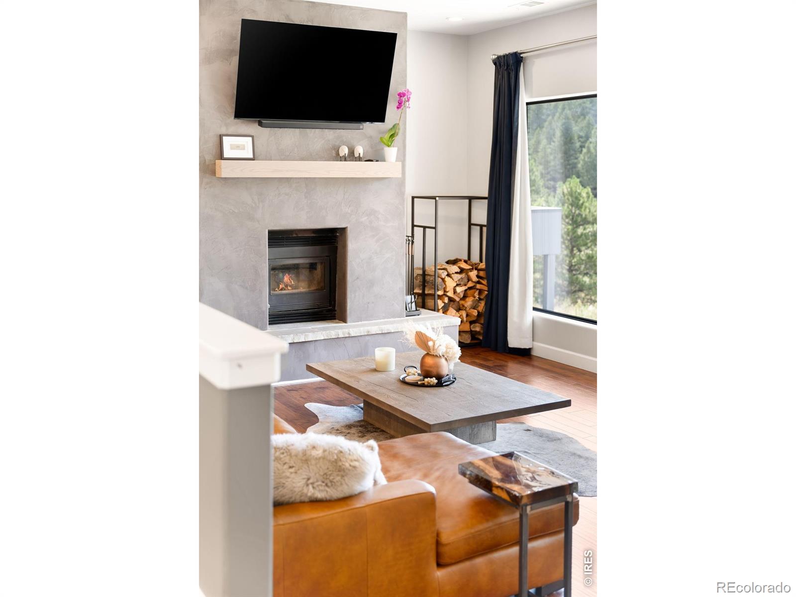 MLS Image #5 for 5858 s turkey creek road,morrison, Colorado
