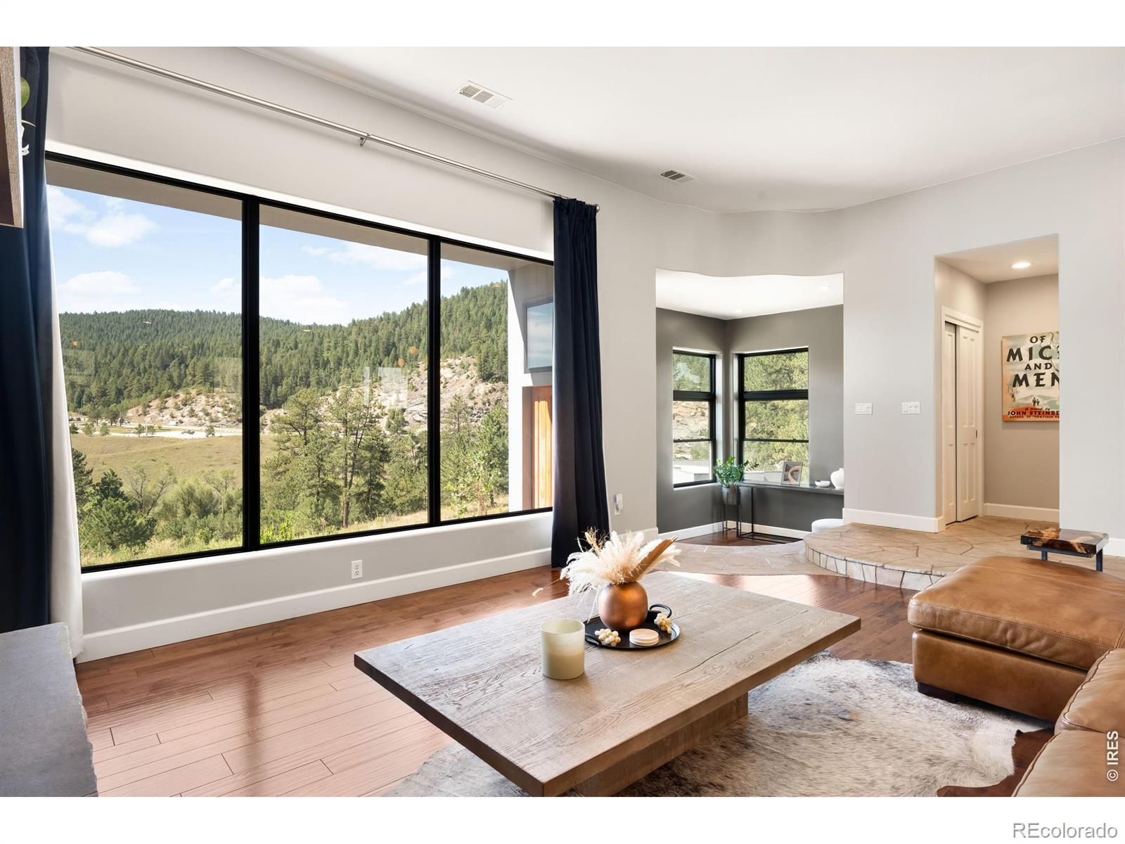 MLS Image #6 for 5858 s turkey creek road,morrison, Colorado