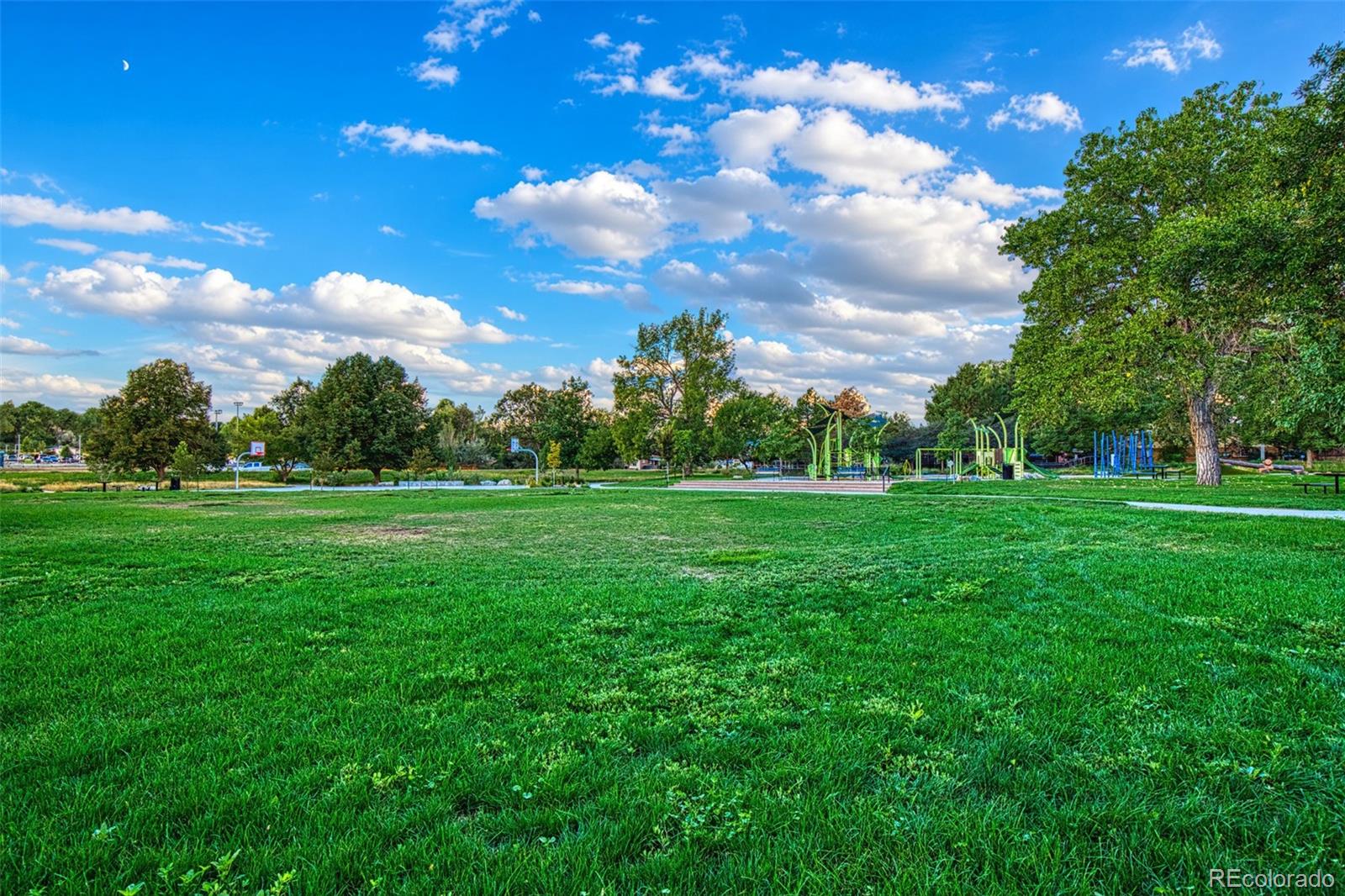 MLS Image #26 for 6087  lewis street,arvada, Colorado