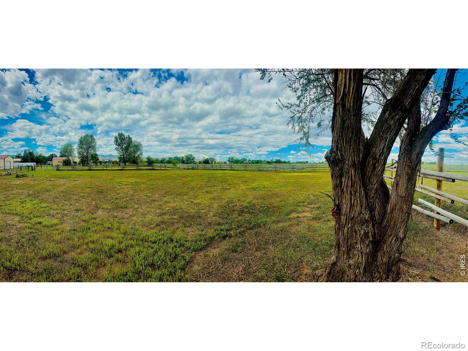 MLS Image #7 for 942  eggleston street,fort collins, Colorado