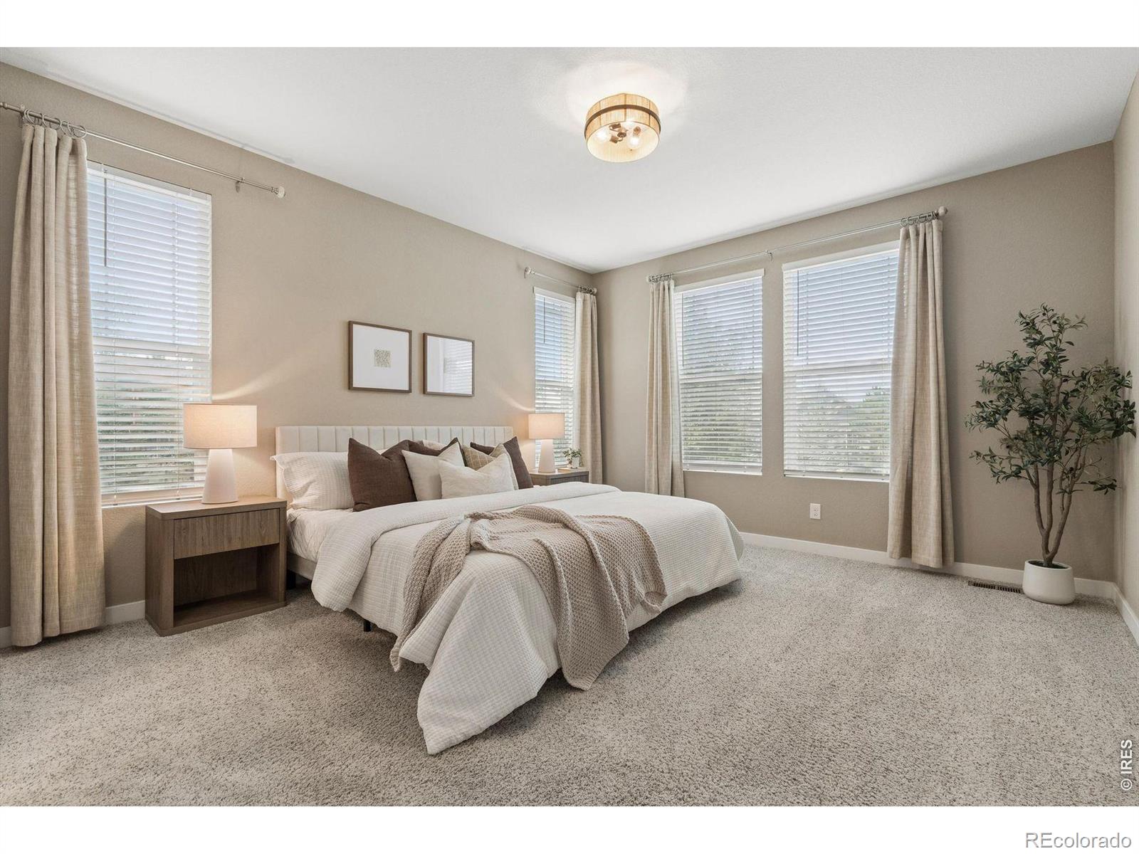 MLS Image #12 for 2029  sicily circle,longmont, Colorado