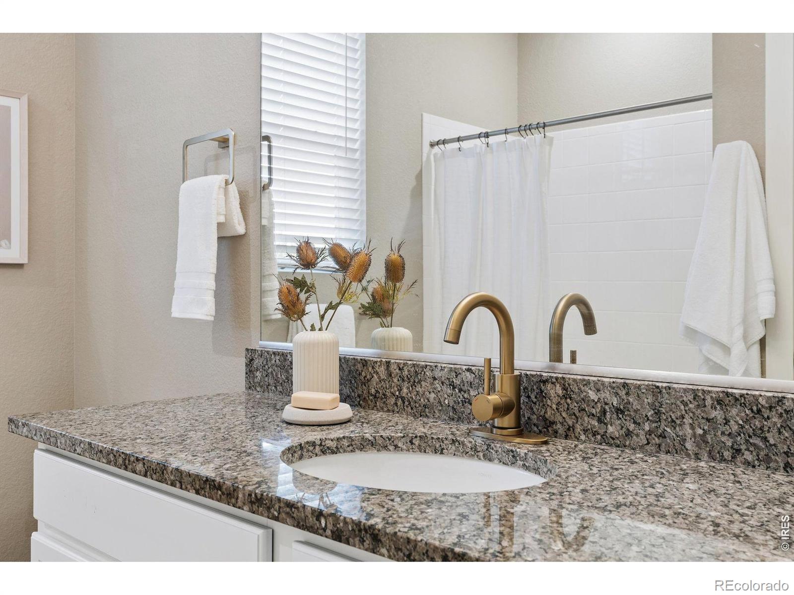 MLS Image #19 for 2029  sicily circle,longmont, Colorado