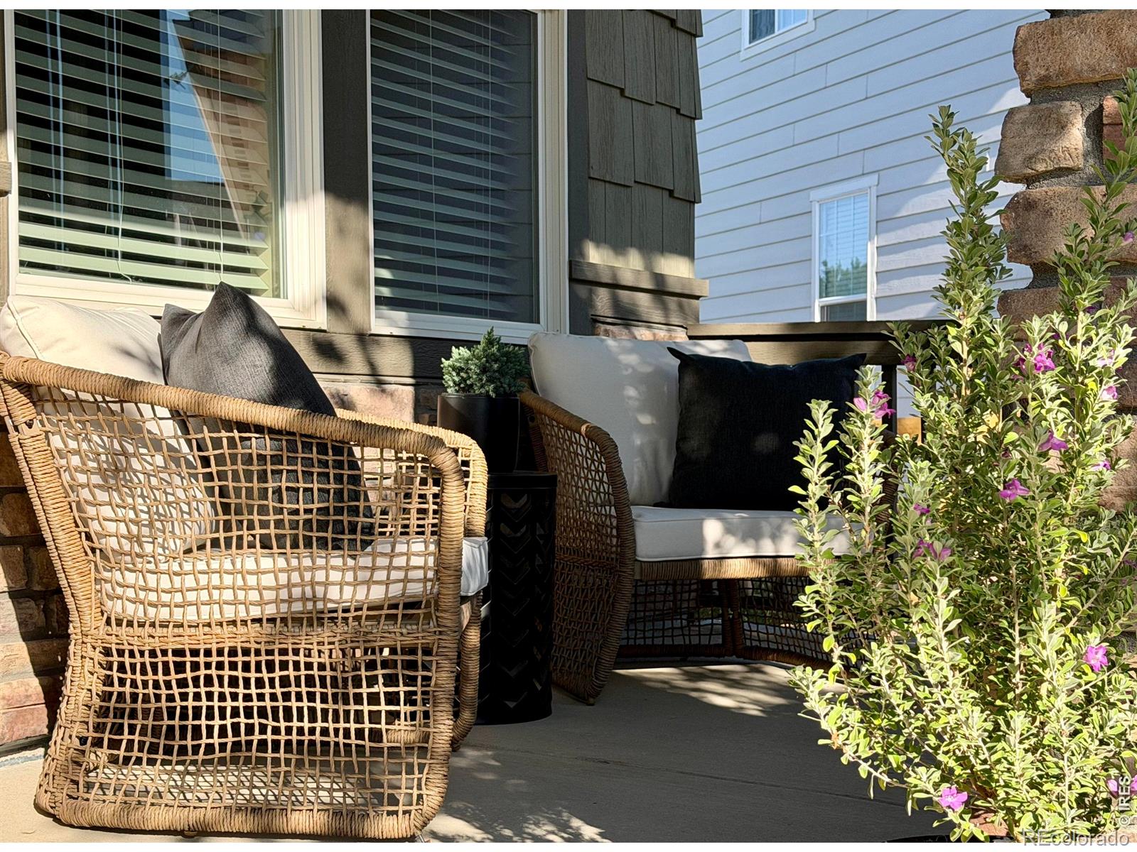 MLS Image #2 for 2029  sicily circle,longmont, Colorado