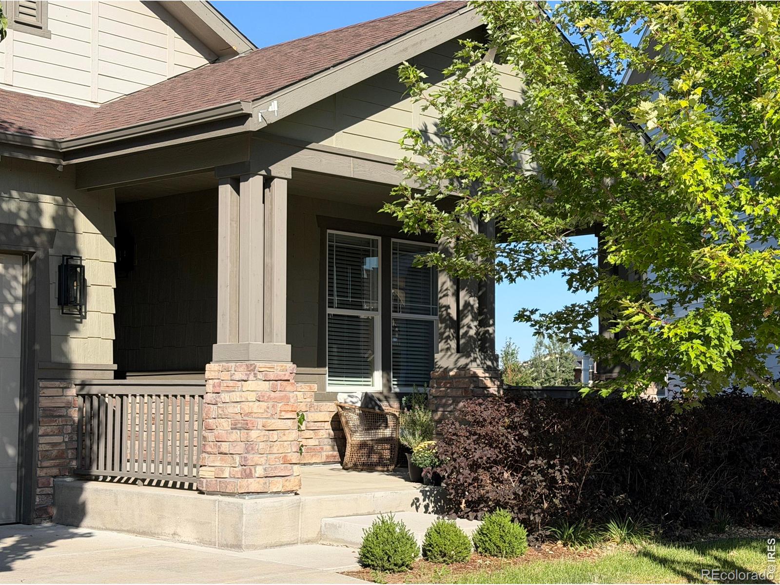 MLS Image #3 for 2029  sicily circle,longmont, Colorado